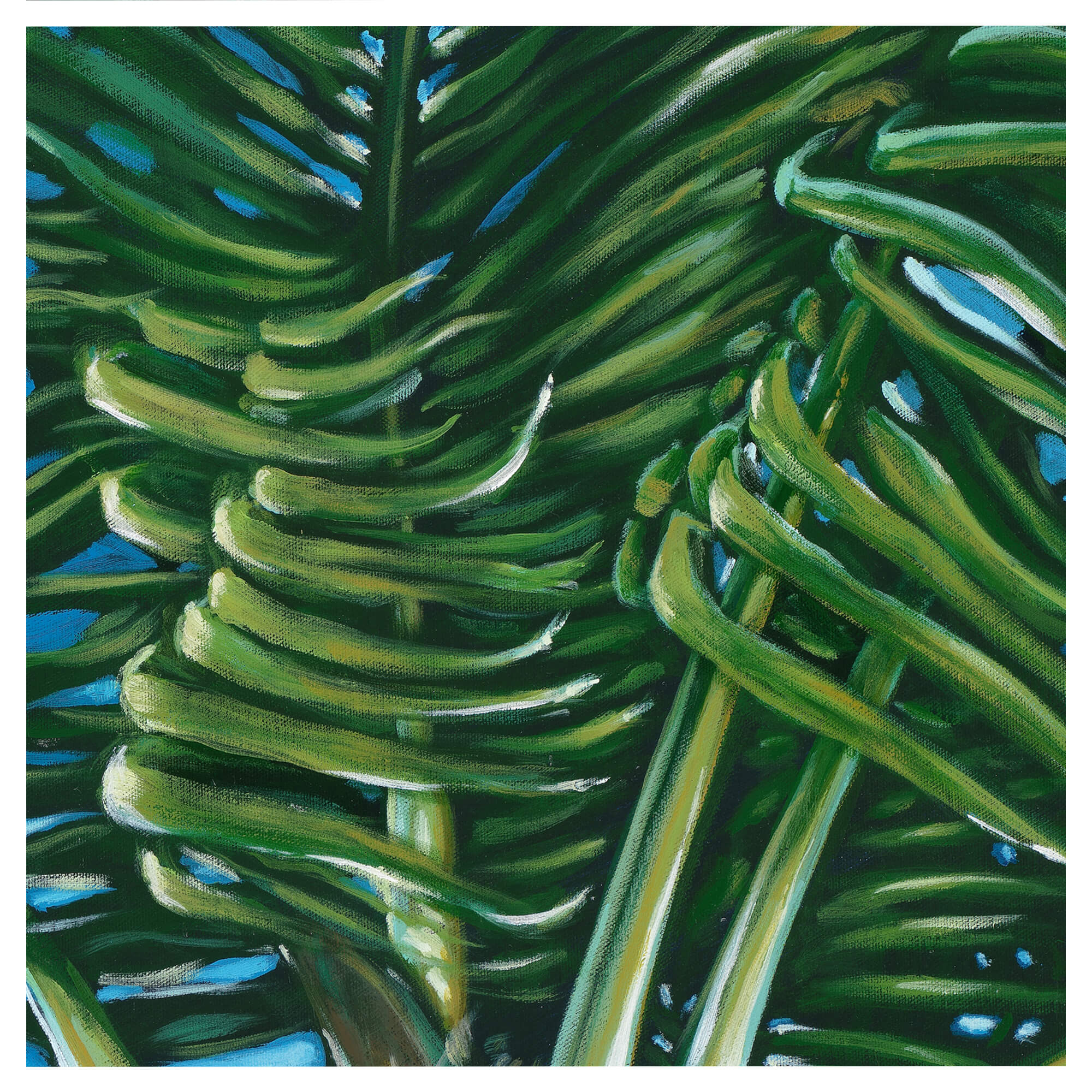An illustration featuring palm tree leaves by hawaii artist Kristi Petosa