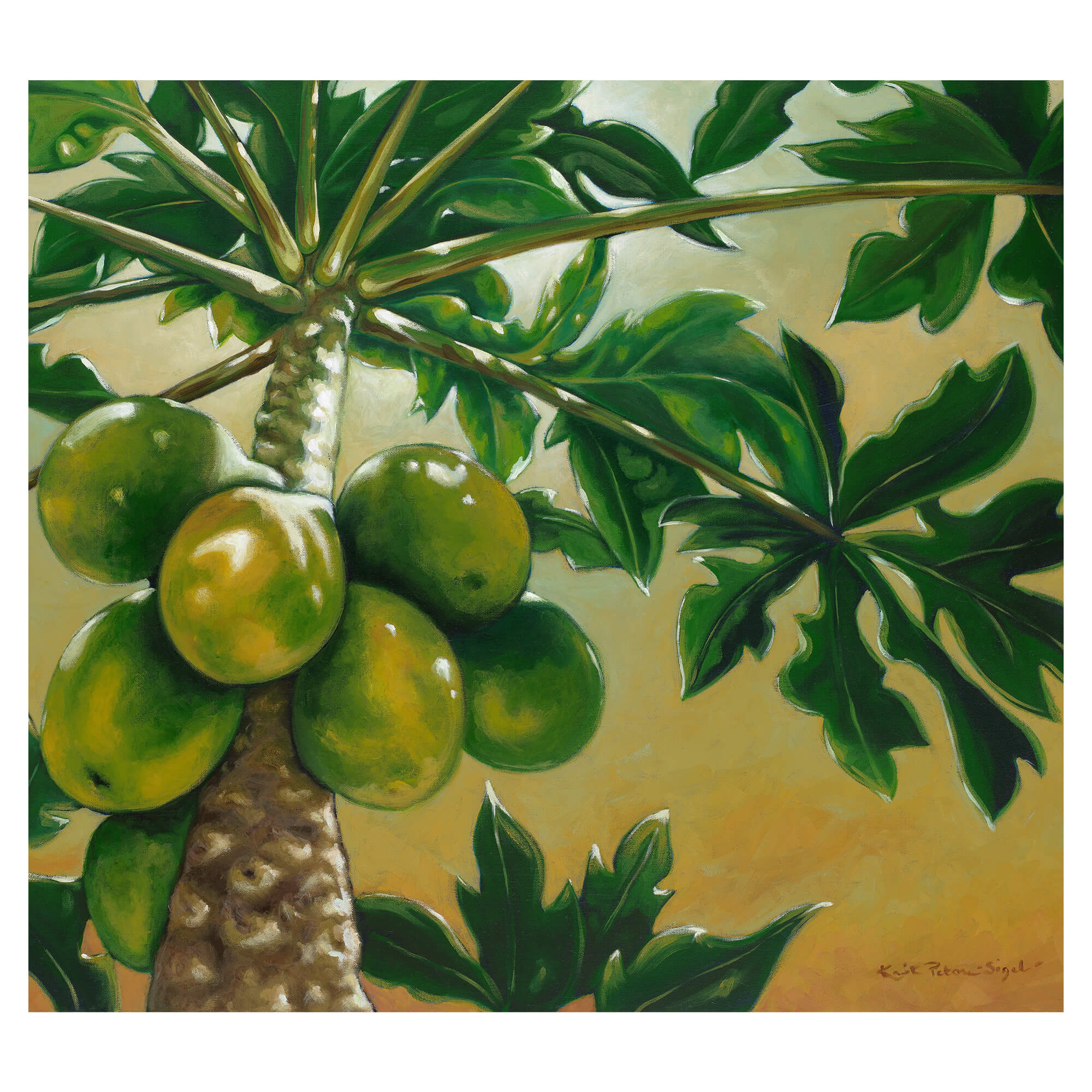 hawaii artist Kristi Petosa Sigel Papaya Sunrise art print