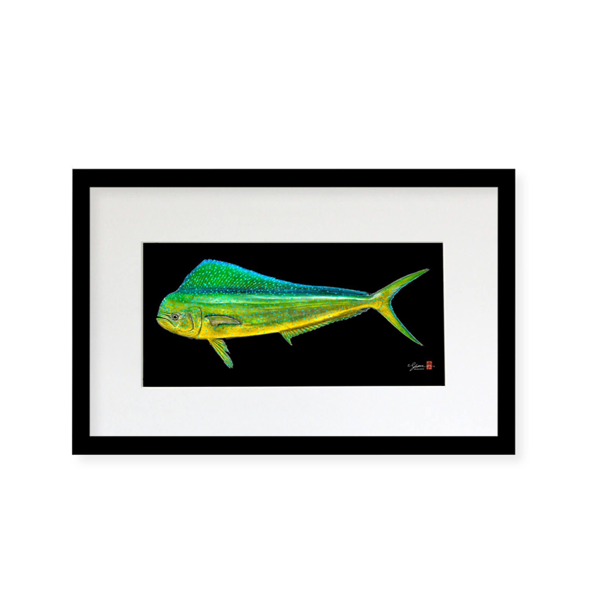 Framed matted print of a large Mahi Mahi fish (also known as Dolphin Fish or Dorado) distinguished by dazzling colors - golden on the sides, and bright blues and greens on the sides and back by Hawaii Gyotaku artist Shane Hamamoto