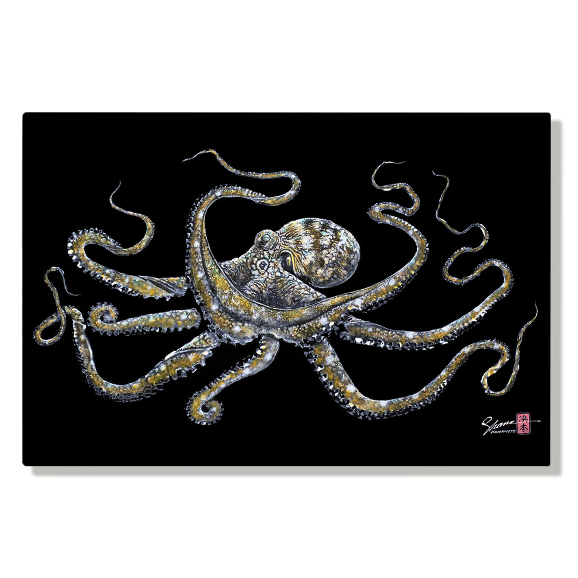 Metal print of Tako (Octopus) by Hawaii gyotaku artist Shane Hamamoto