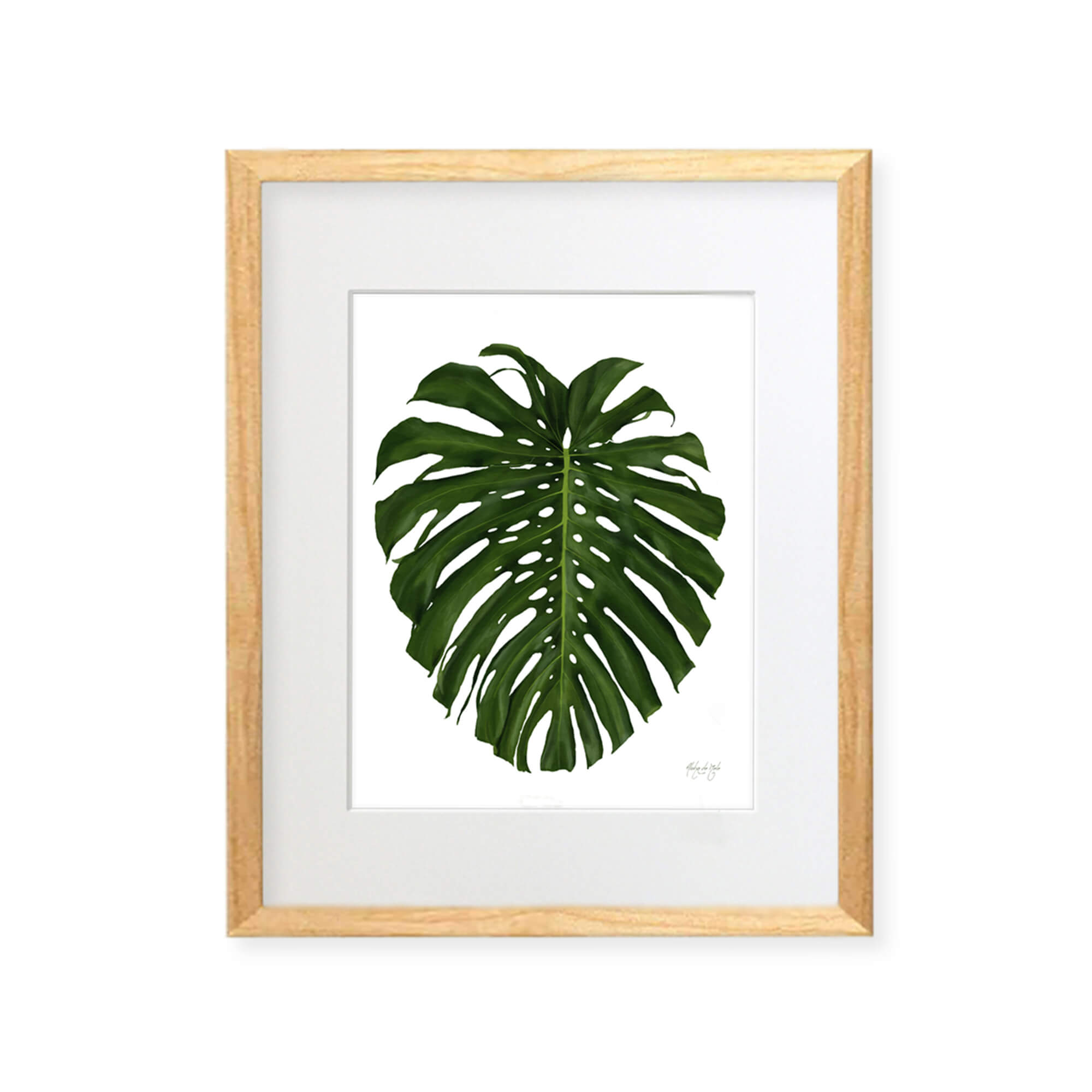 A framed matted art print of a beautifully painted monstera leaf by Hawaii artist Aloha De Mele