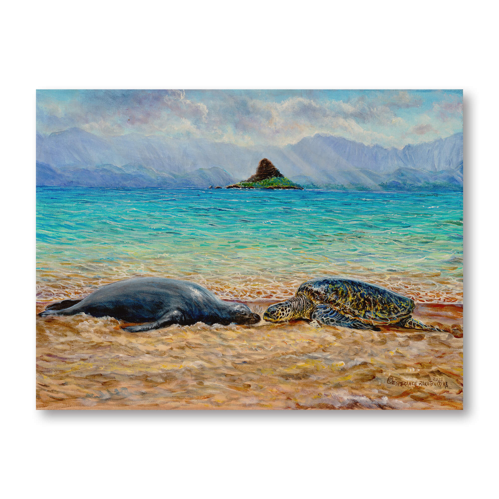 Wood print featuring a seal resting on the beach by hawaii artist Esperance Rakotonirina