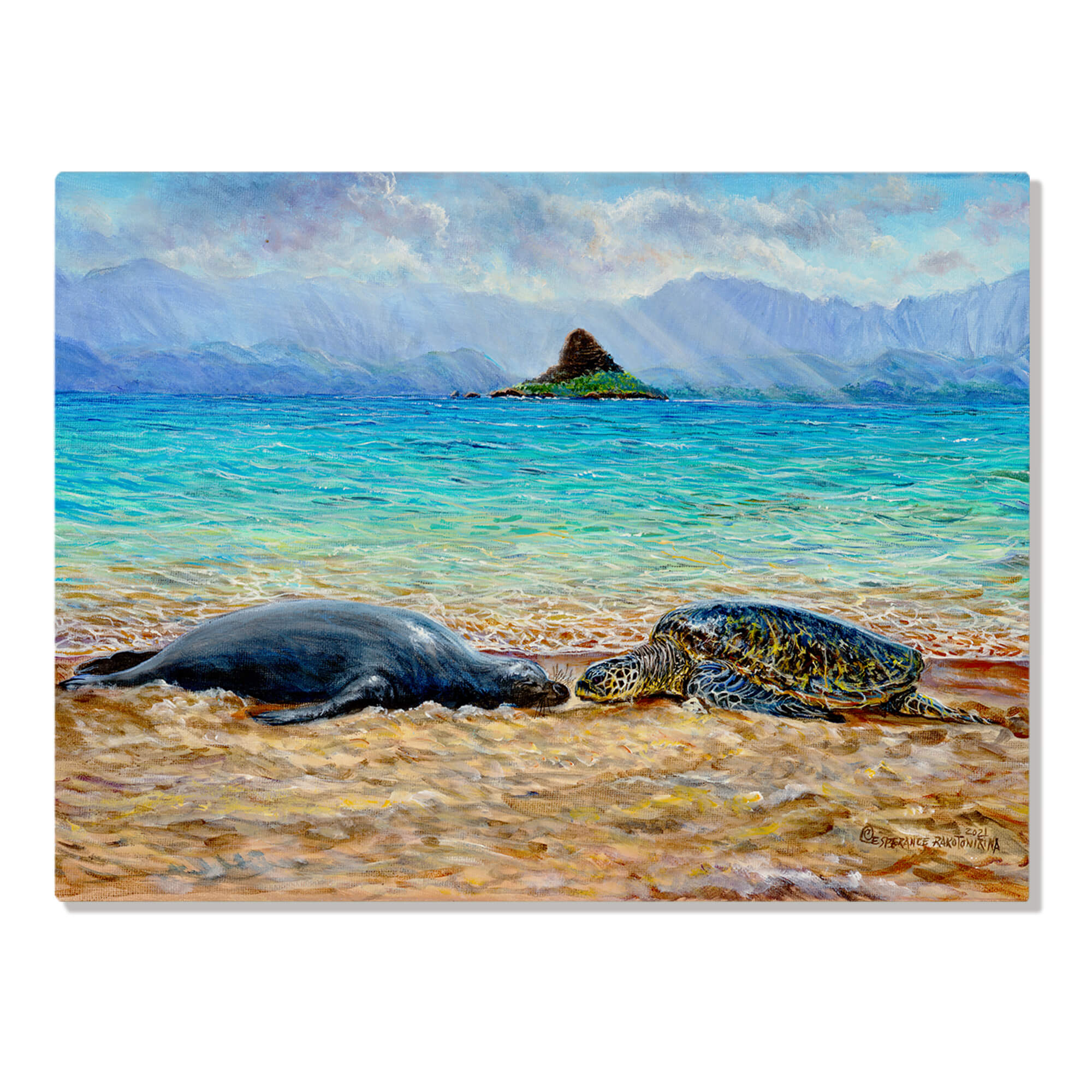 Metal print showcasing a seal and a turtle resting on the shore by hawaii artist EsperanceRakotonirina