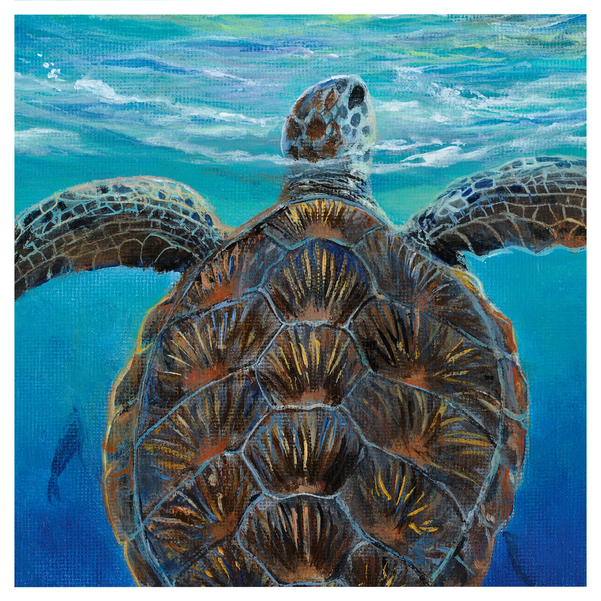 An illustratrion showcasing a turtle by hawaii artist Esperance Rakotonirina