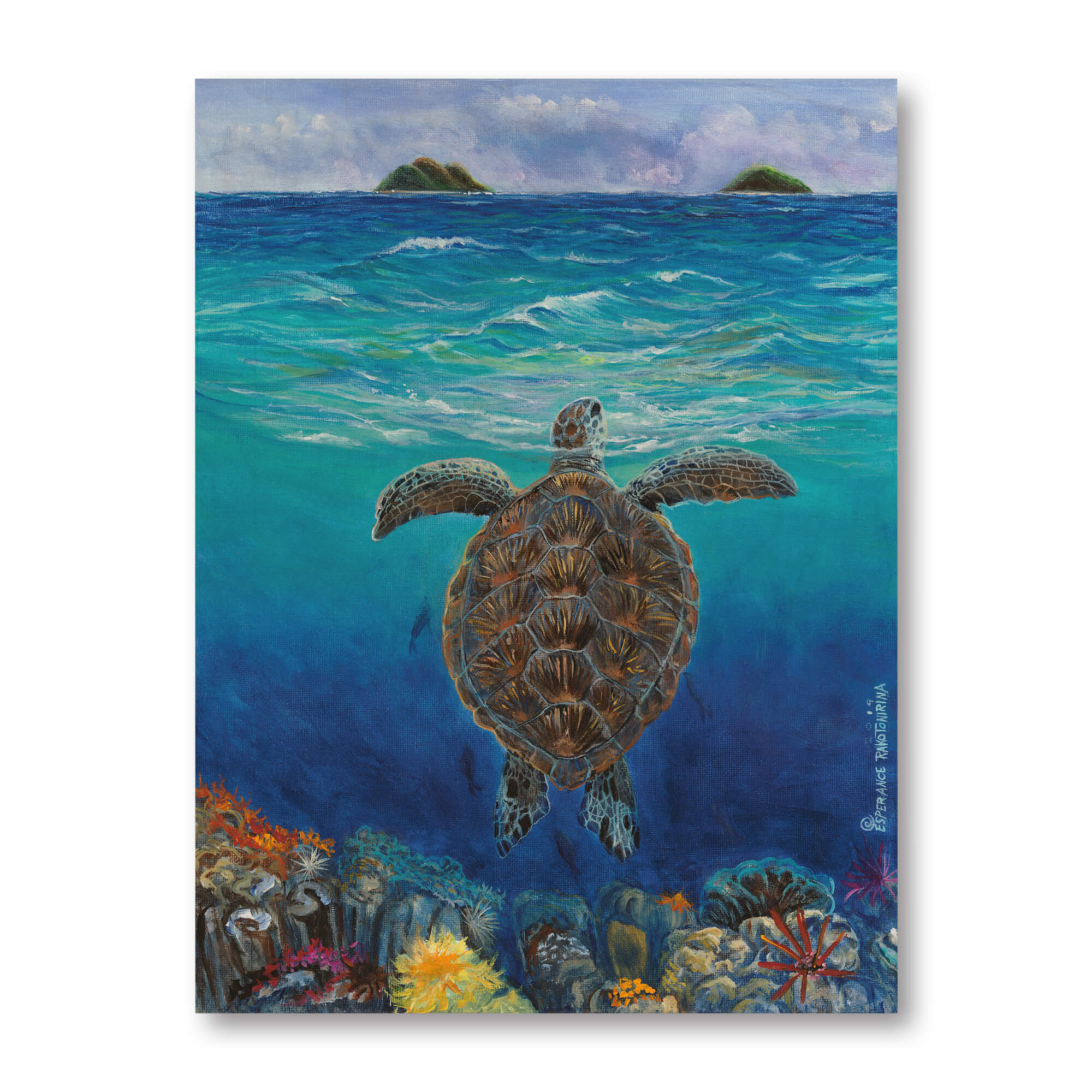 Wood art print of a brown turtle peaking through the surface by hawaii artist Esperance Rakotonirina