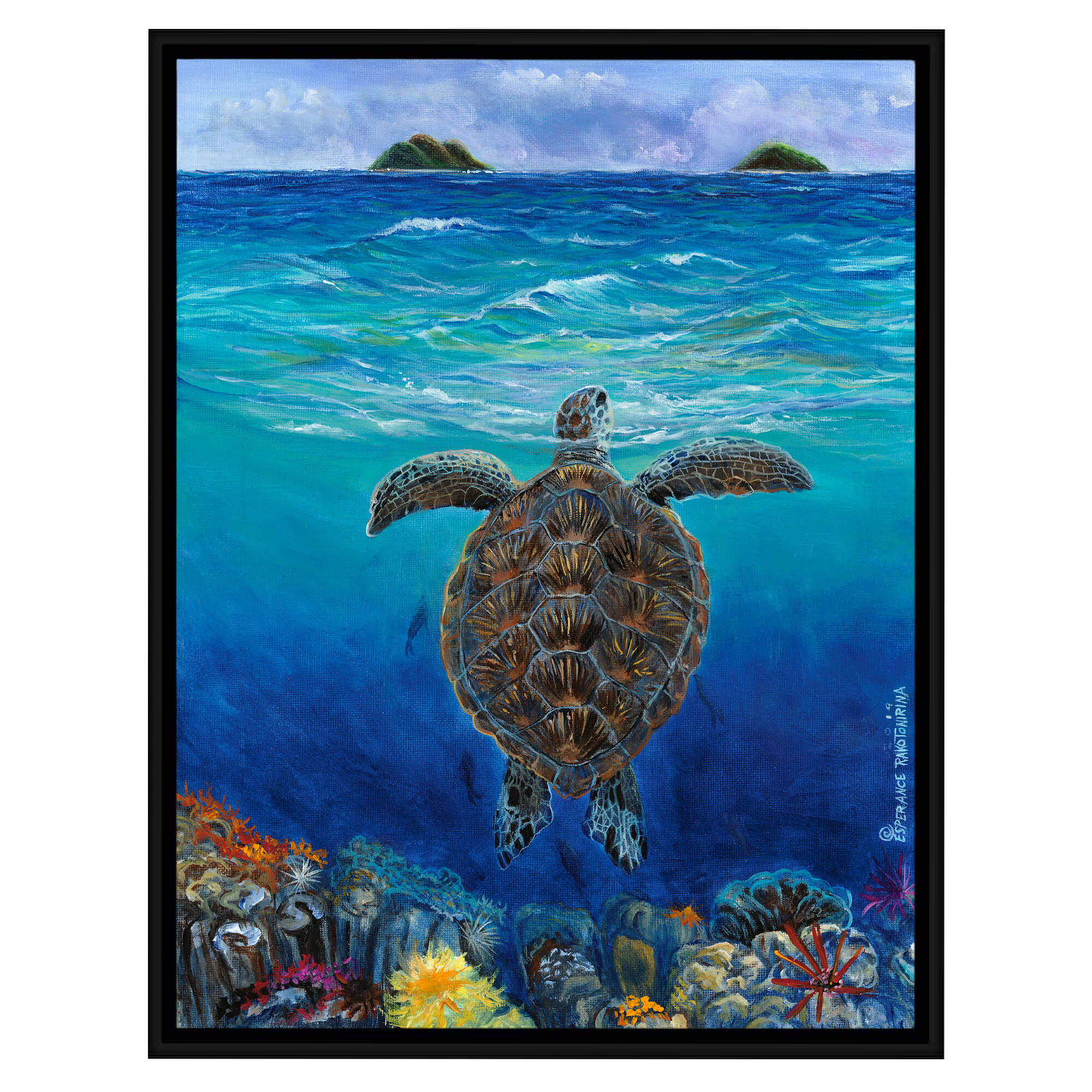 Canvas art print with black frame featuring a turtle underwater by hawaii artist Esperance Rakotonirina