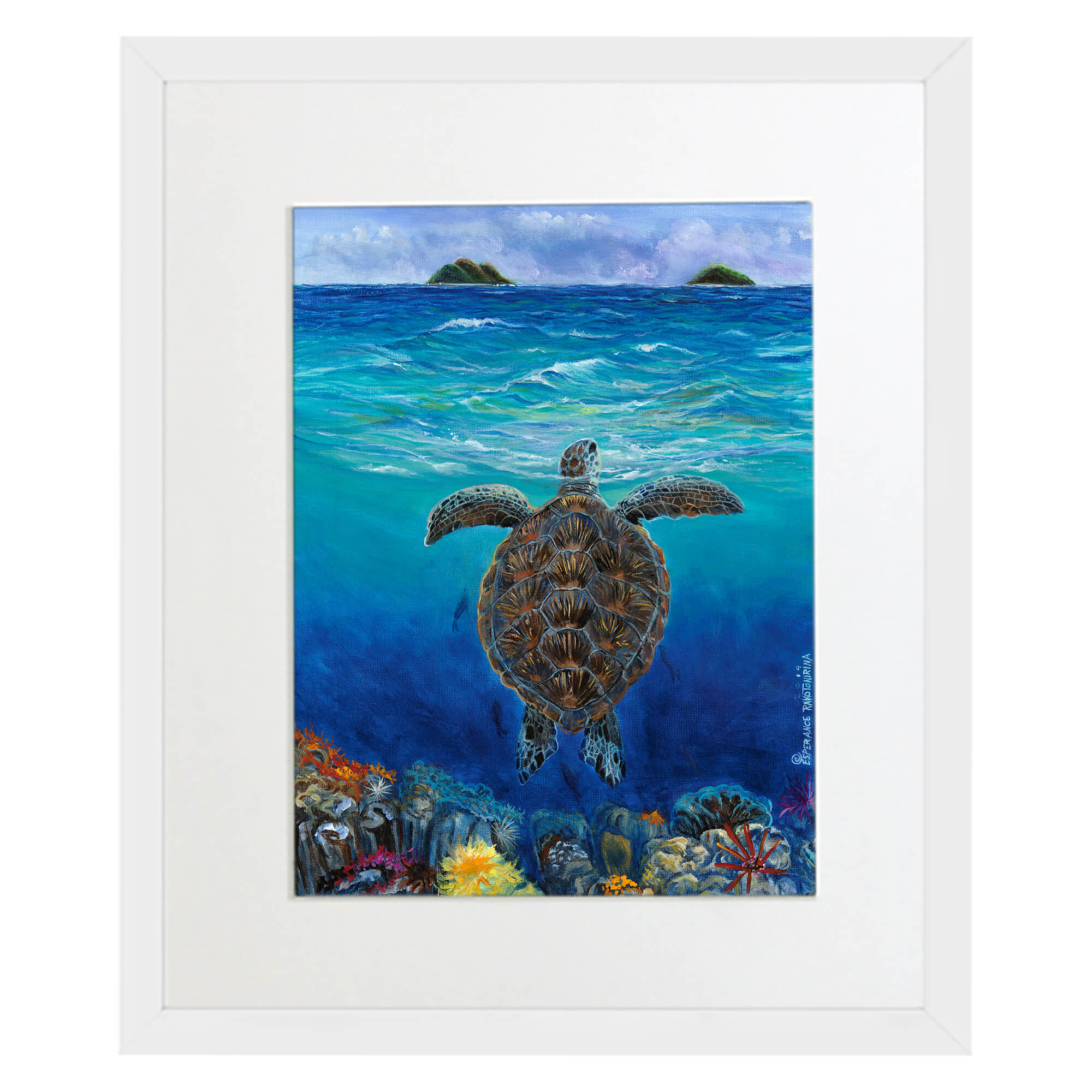 Matted art print with white frame featuring corals underwater by hawaii artist Esperance Rakotonirina