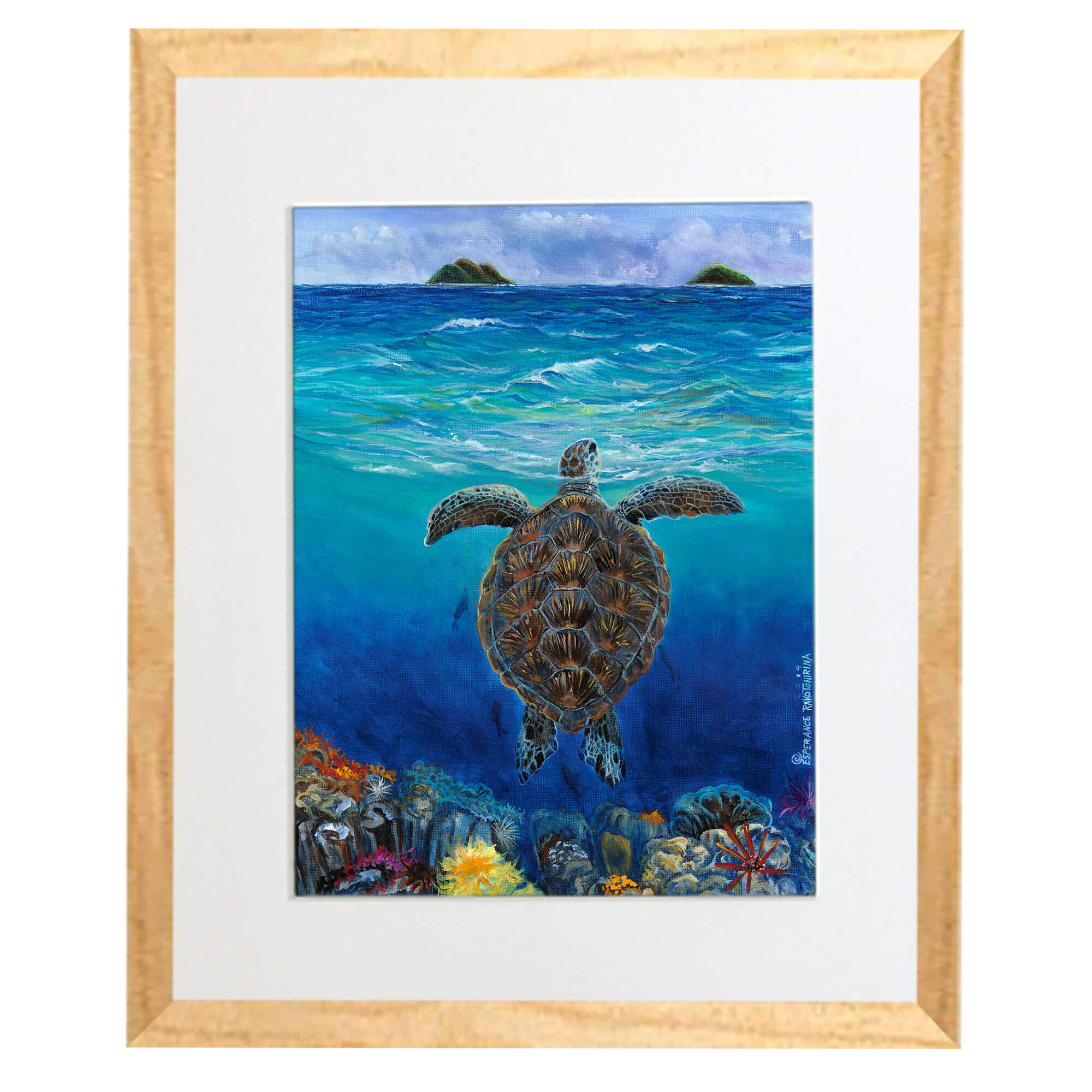 Matted art print with wood frame showcasing colorful coral underneath the surface Esperance Rakotonirina