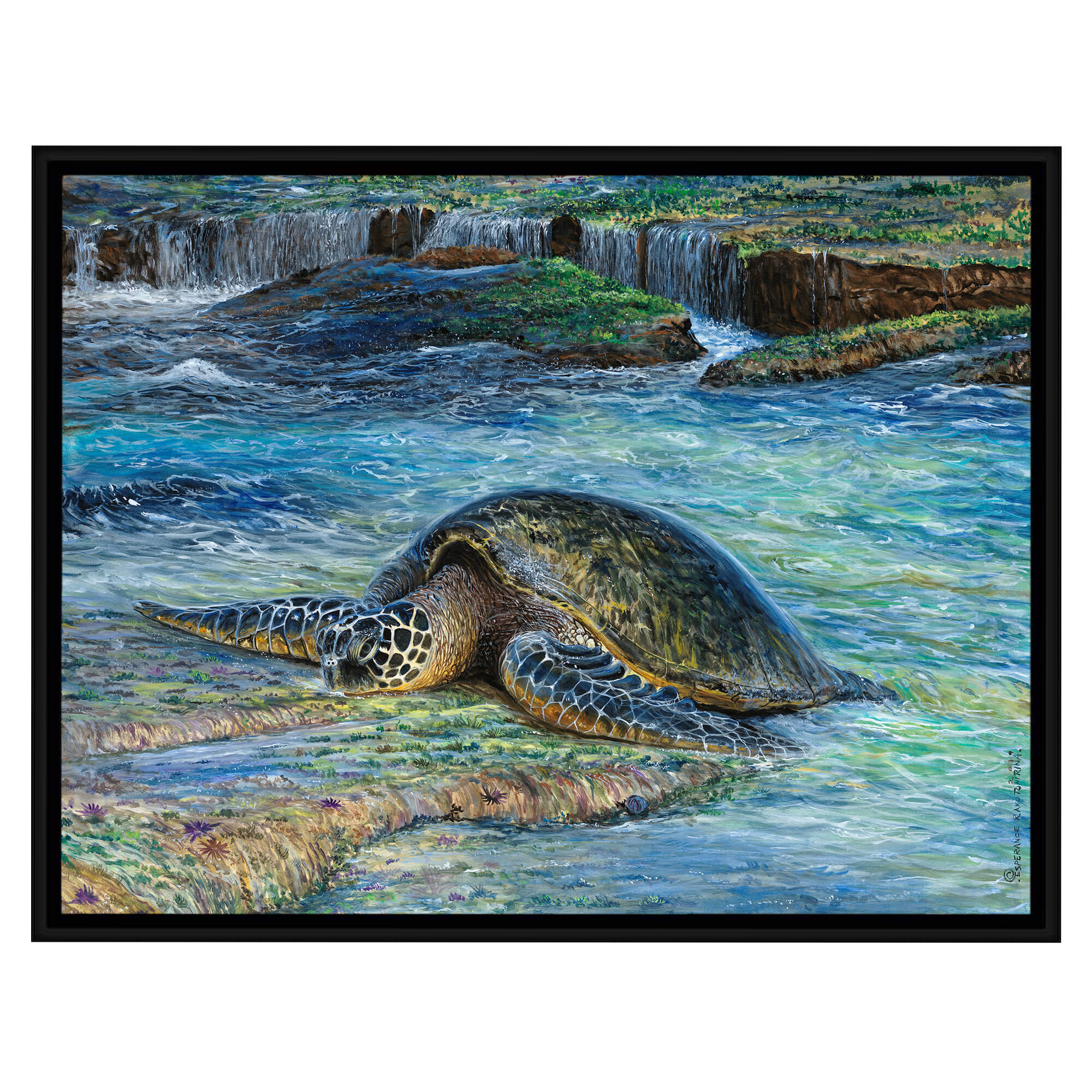 Canvas art print with black frame featuring the calm blue water by hawaii artist Esperance Rakotonirina