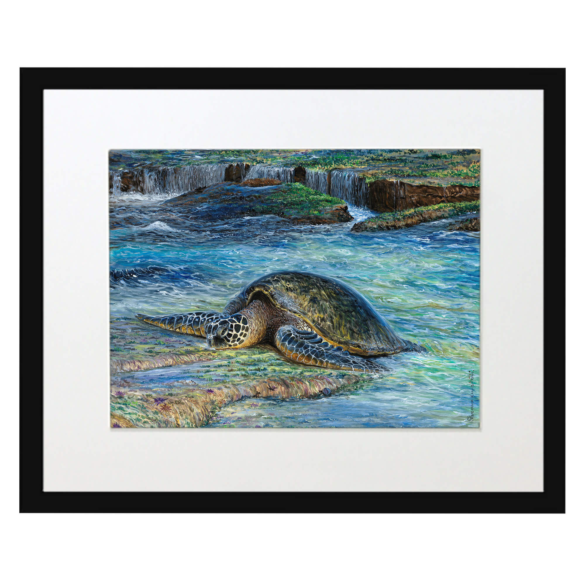 Matted art print with black frame  featuring a turtle resting on a stone in the water by hawaii artist  Esperance Rakotonirina