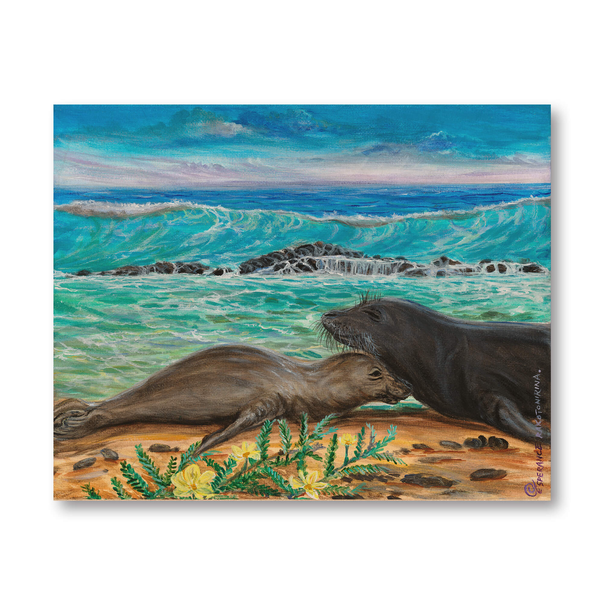 Wood art print featuring two seals on the shore by hawaii artist Esperance Rakotonirina