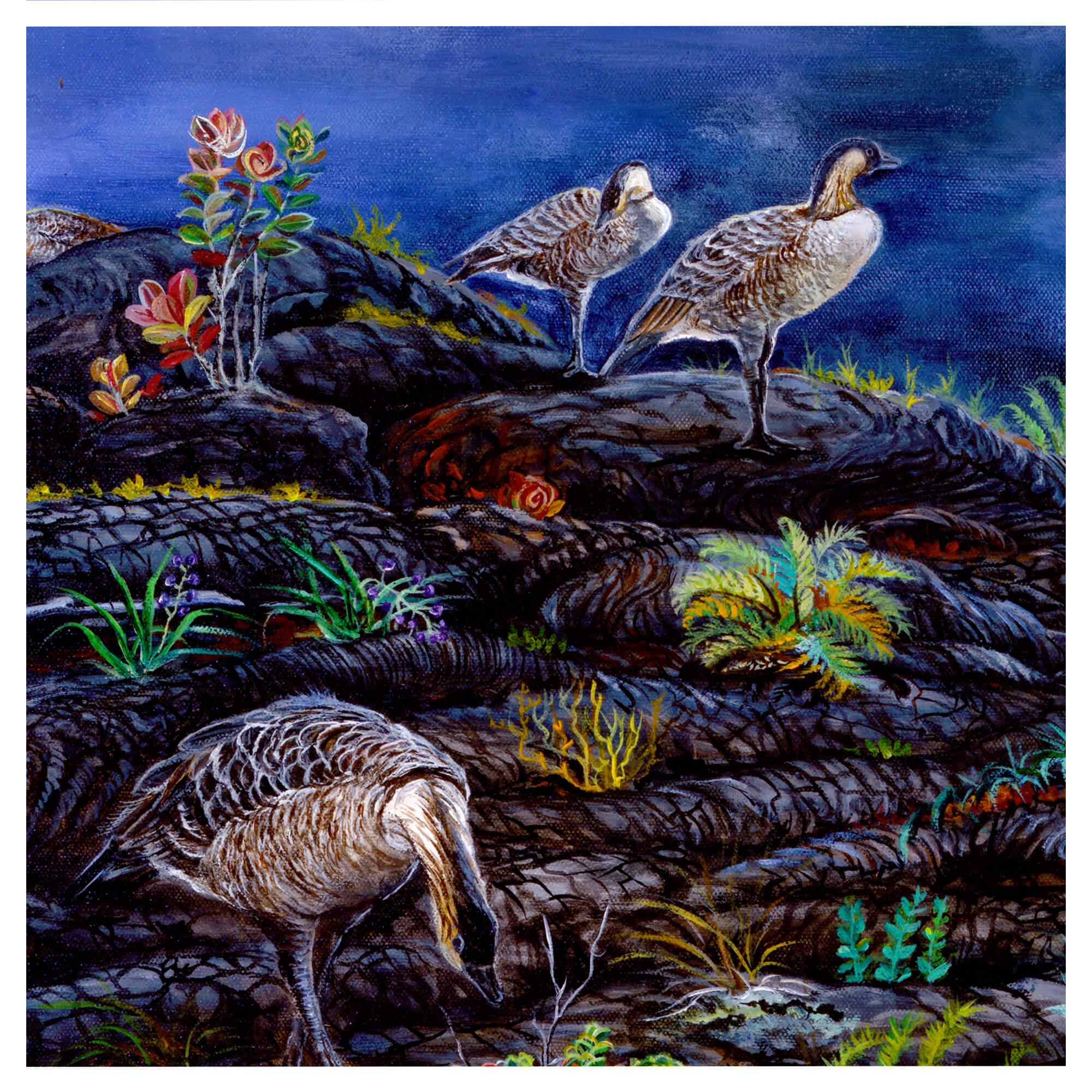 Art print featuring three birds by hawaii artist Esperance Rakotonirina