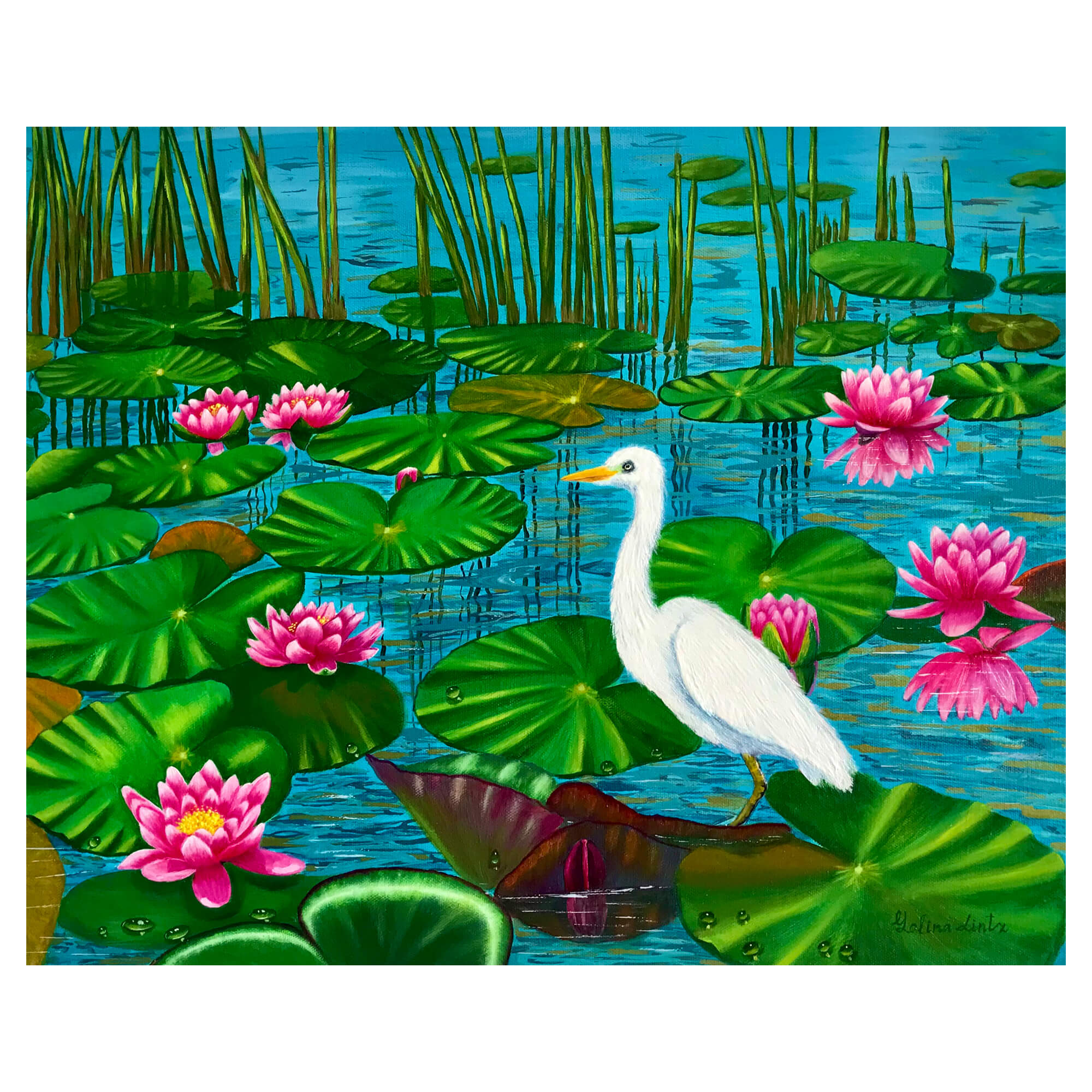 hawaii artist Galina Lintz Cattle Egret art print