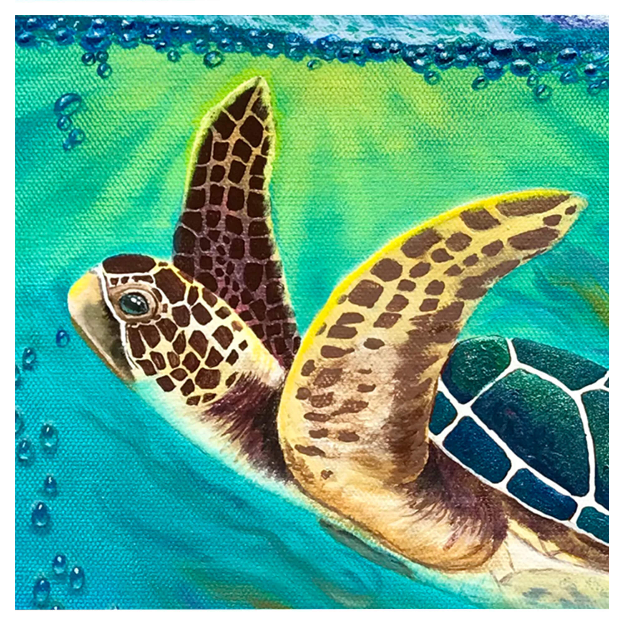 An illustration featuring a turtle by hawaii artist Galina Lintz