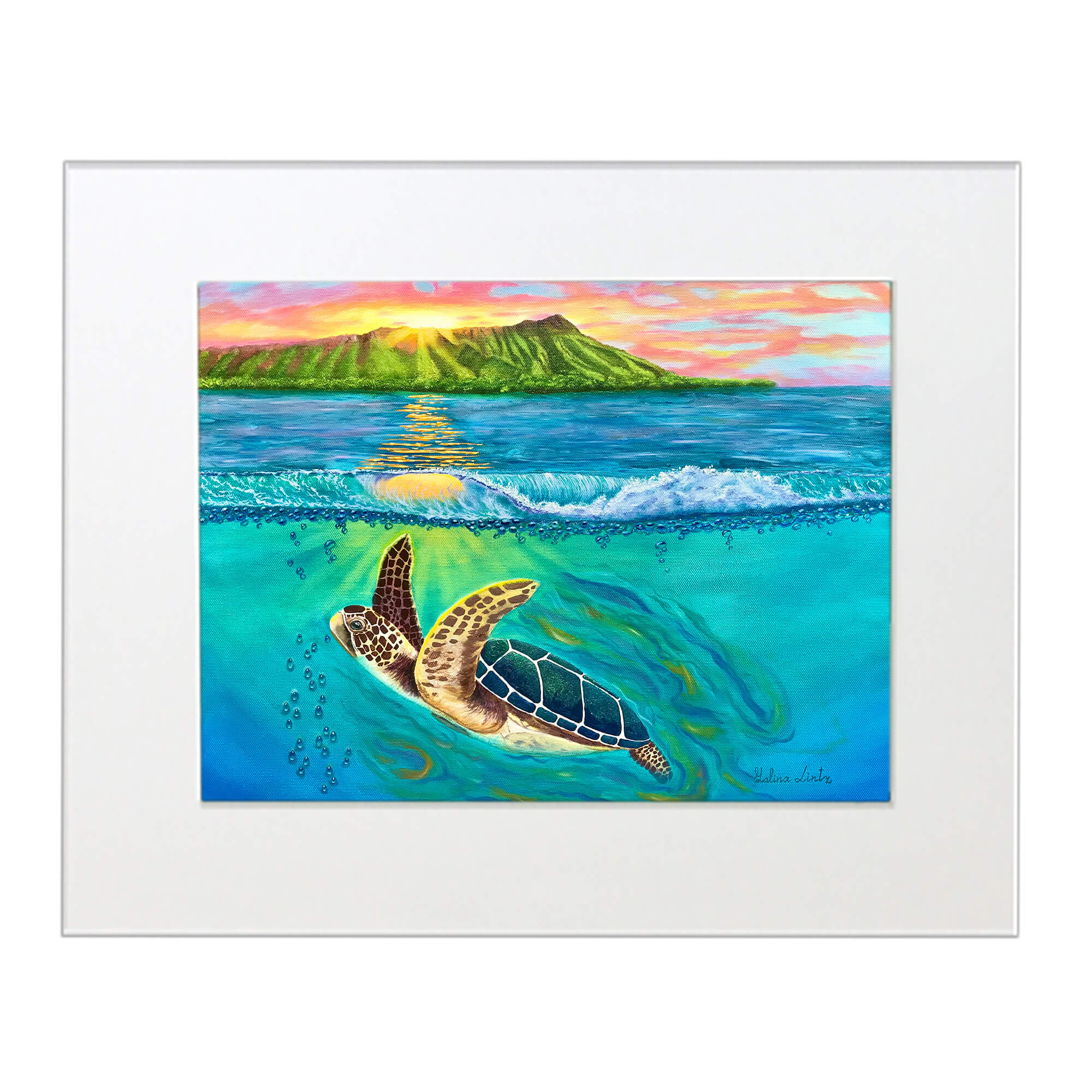 Matted art print showcasing a turtle underwater by hawaii artist Galina Lintz