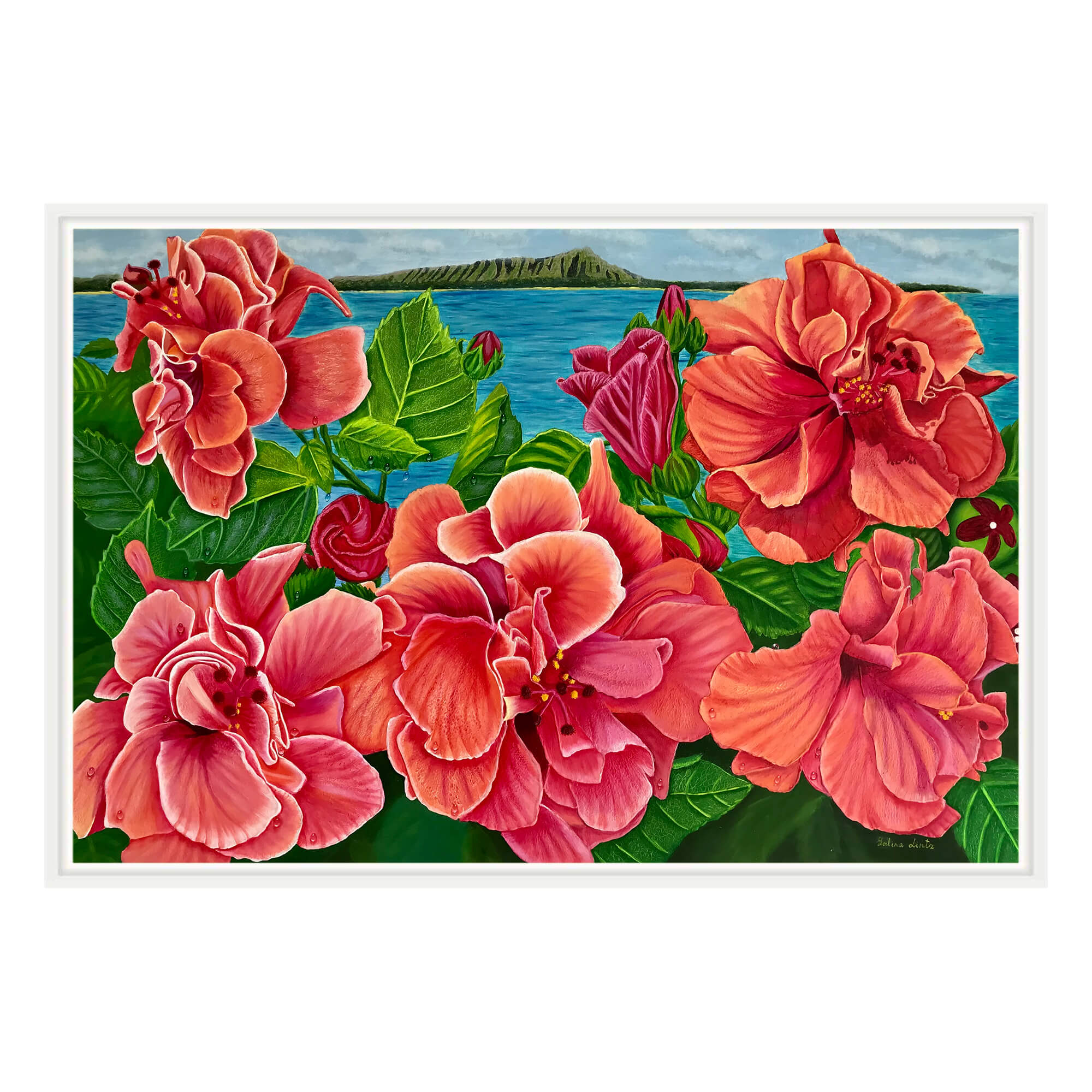Canvas art print featuring teh pink flowers by hawaii artist  Galina Lintz