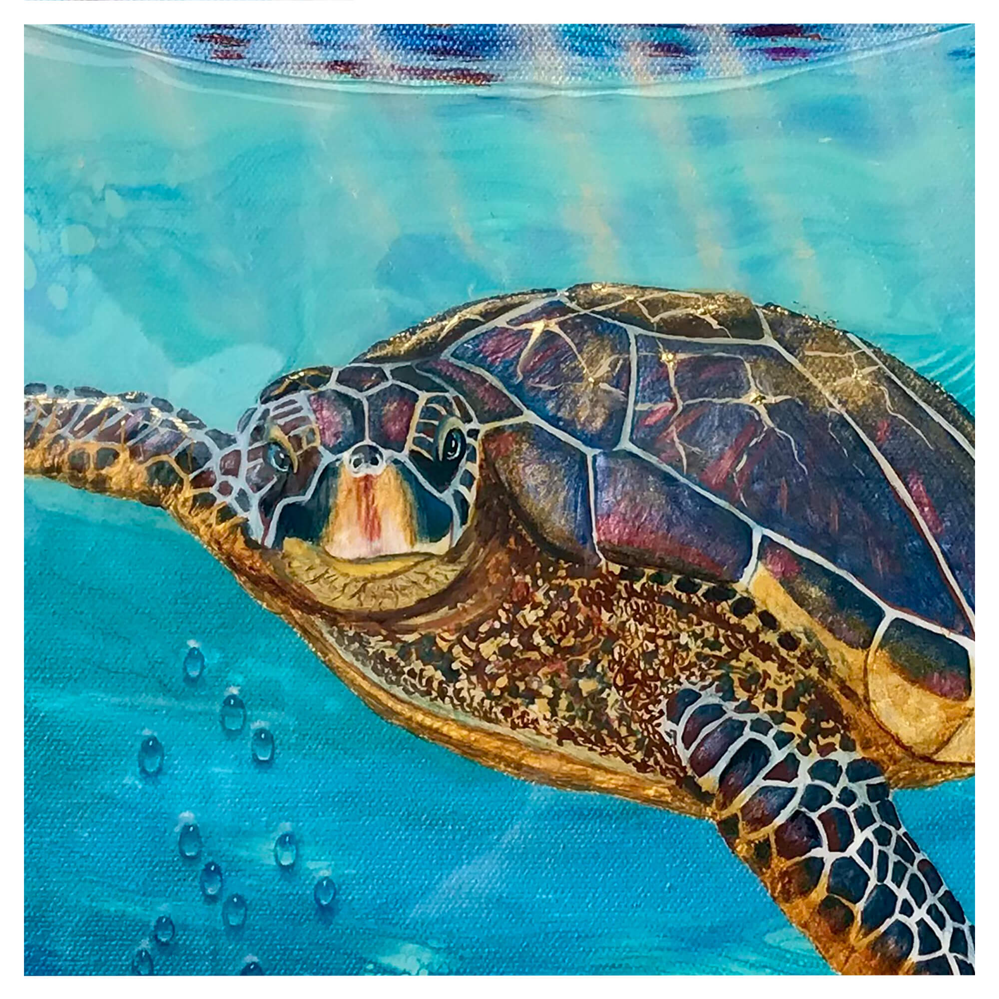 An illustration of a turtle by hawaii artist Galina Lintz 