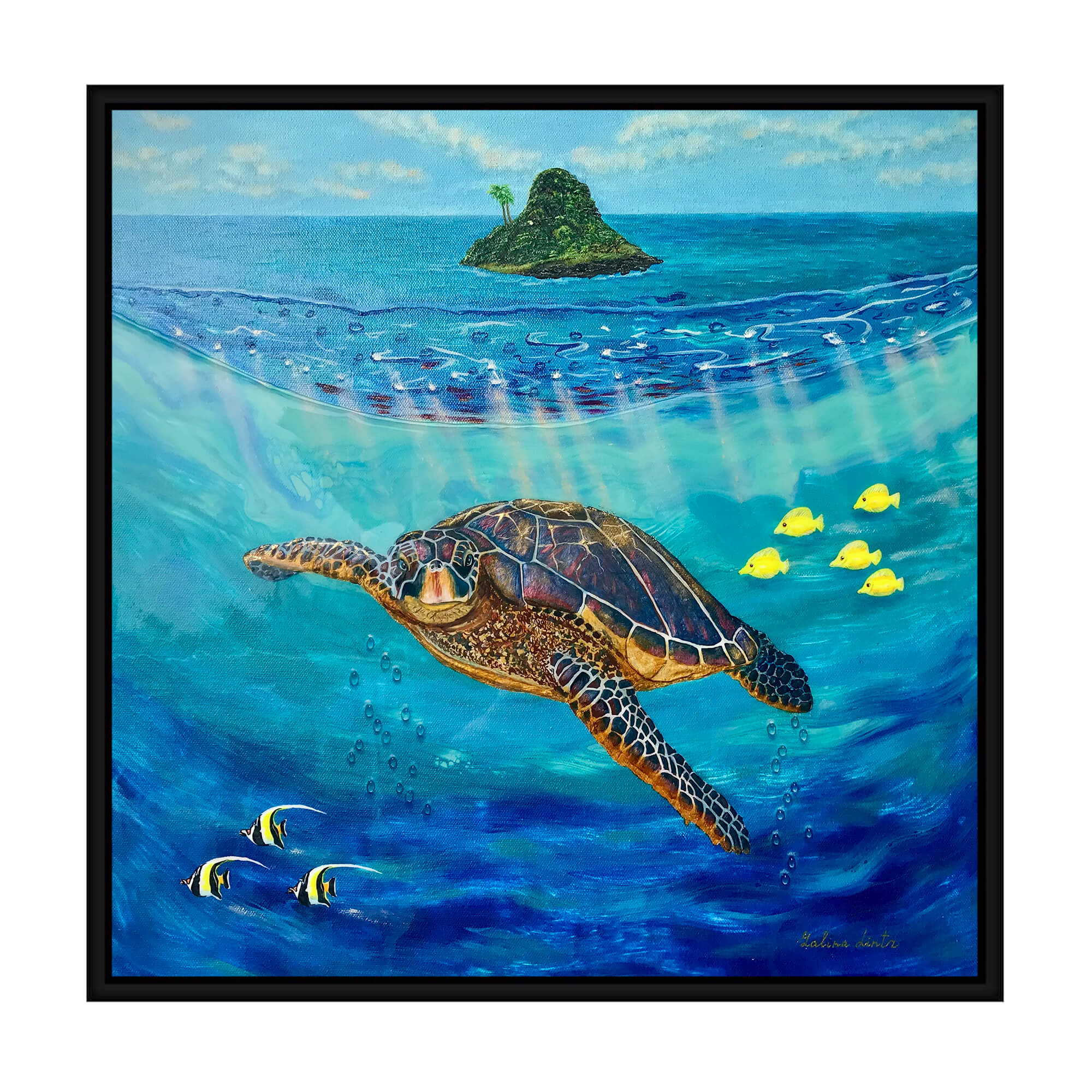 Canvas art print featuring two kinds of fish by hawaii artist  Galina Lintz