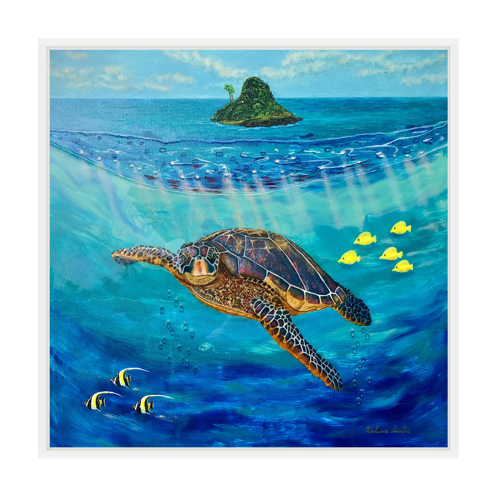 Canvas art print with white frame featuring sea creatures by hawaii artist  Galina Lintz