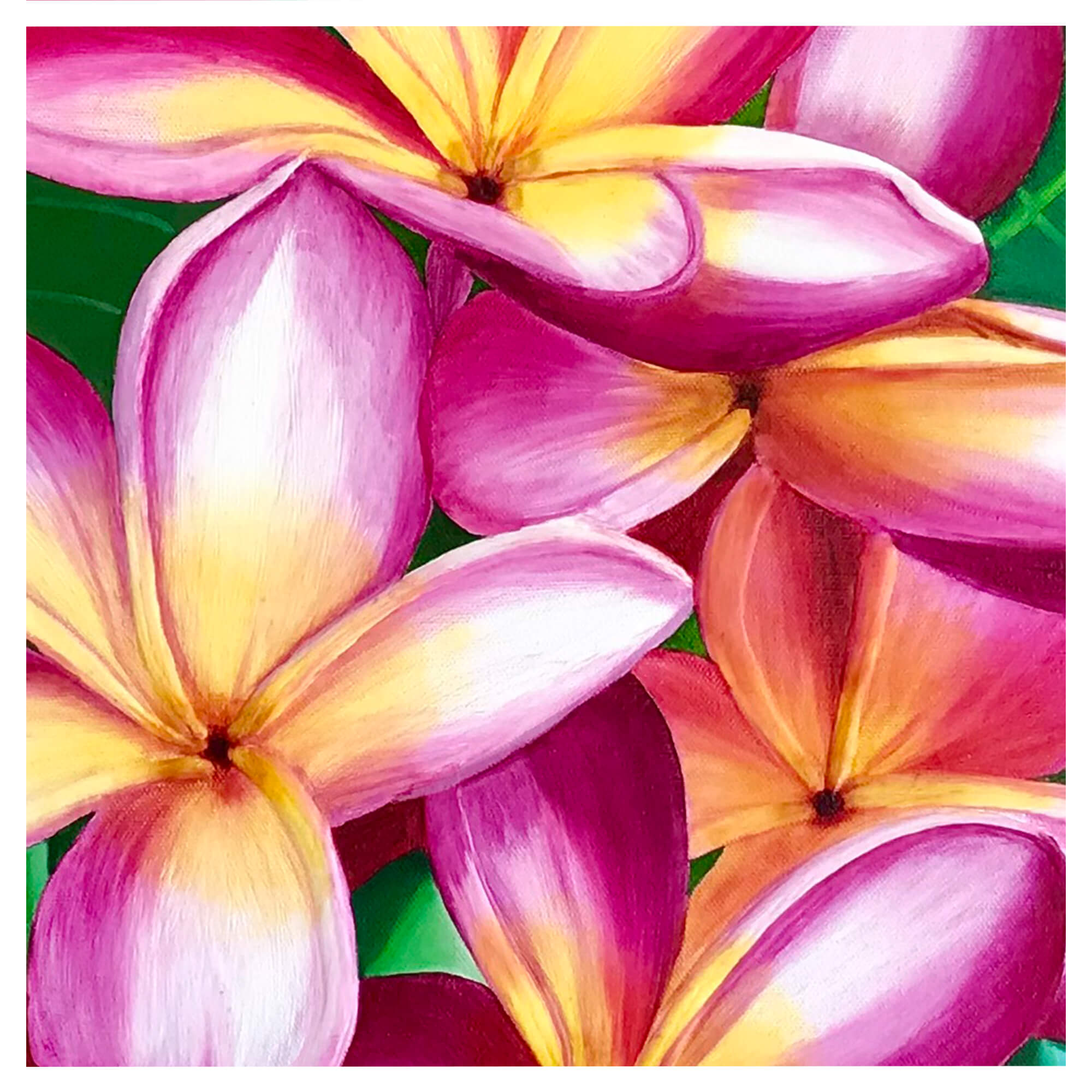 Illustration featuring a pink flower by hawaii artist Galina Lintz 
