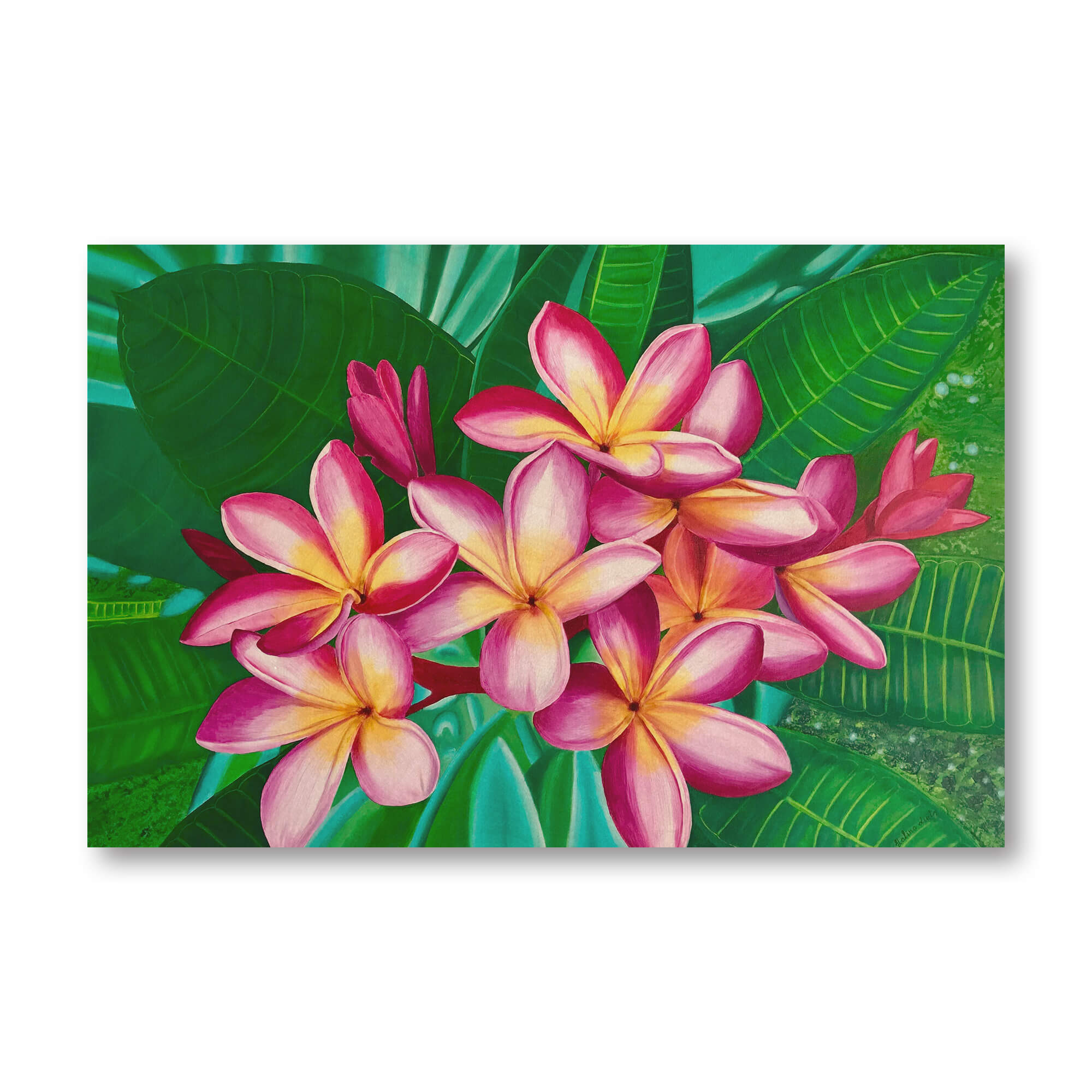 Wood art print showcasing a blooming plumeria flower by hawaii artist Galina Lintz 