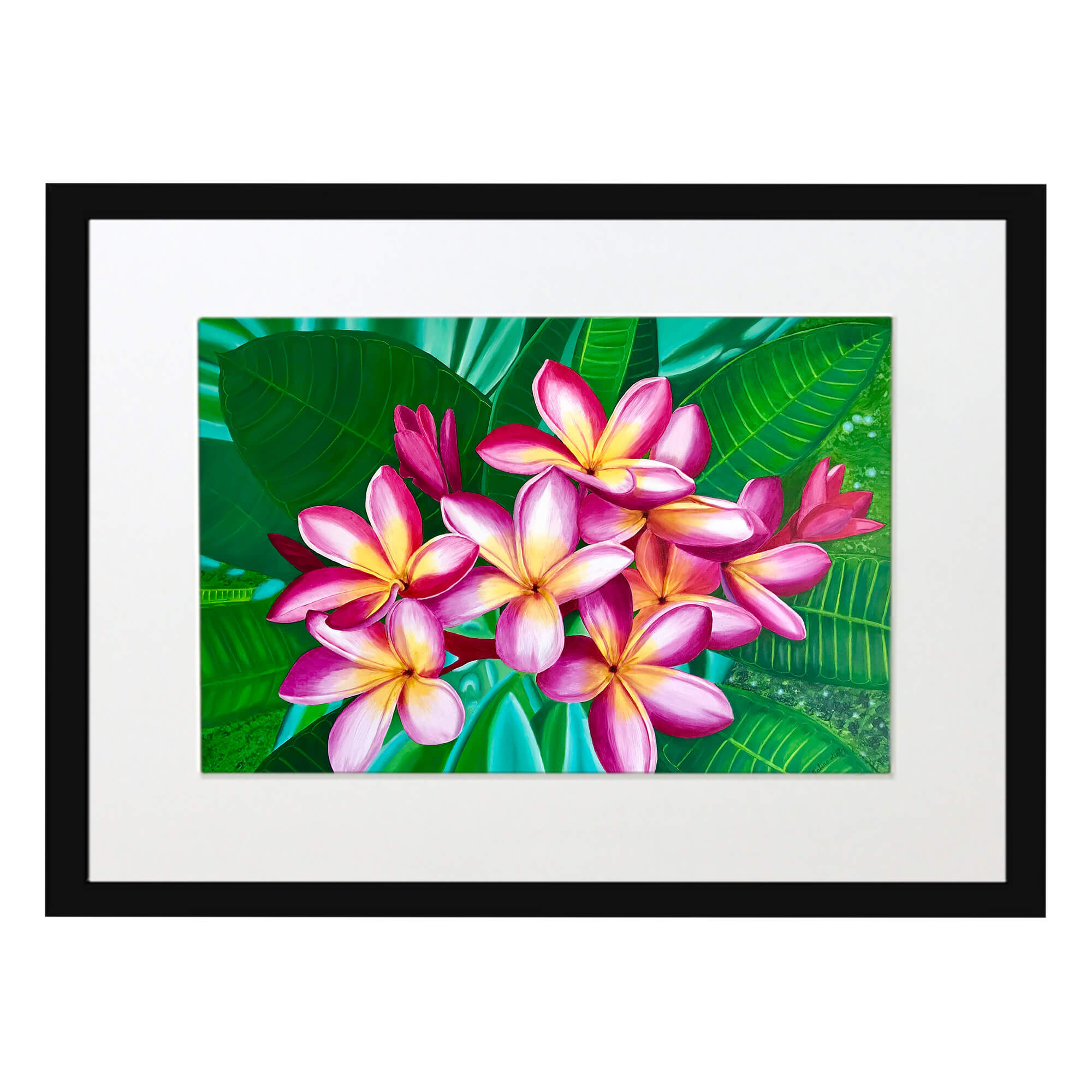 Matted art print with black frame showcasing pink flowers blooming by hawaii artist Galina Lintz 