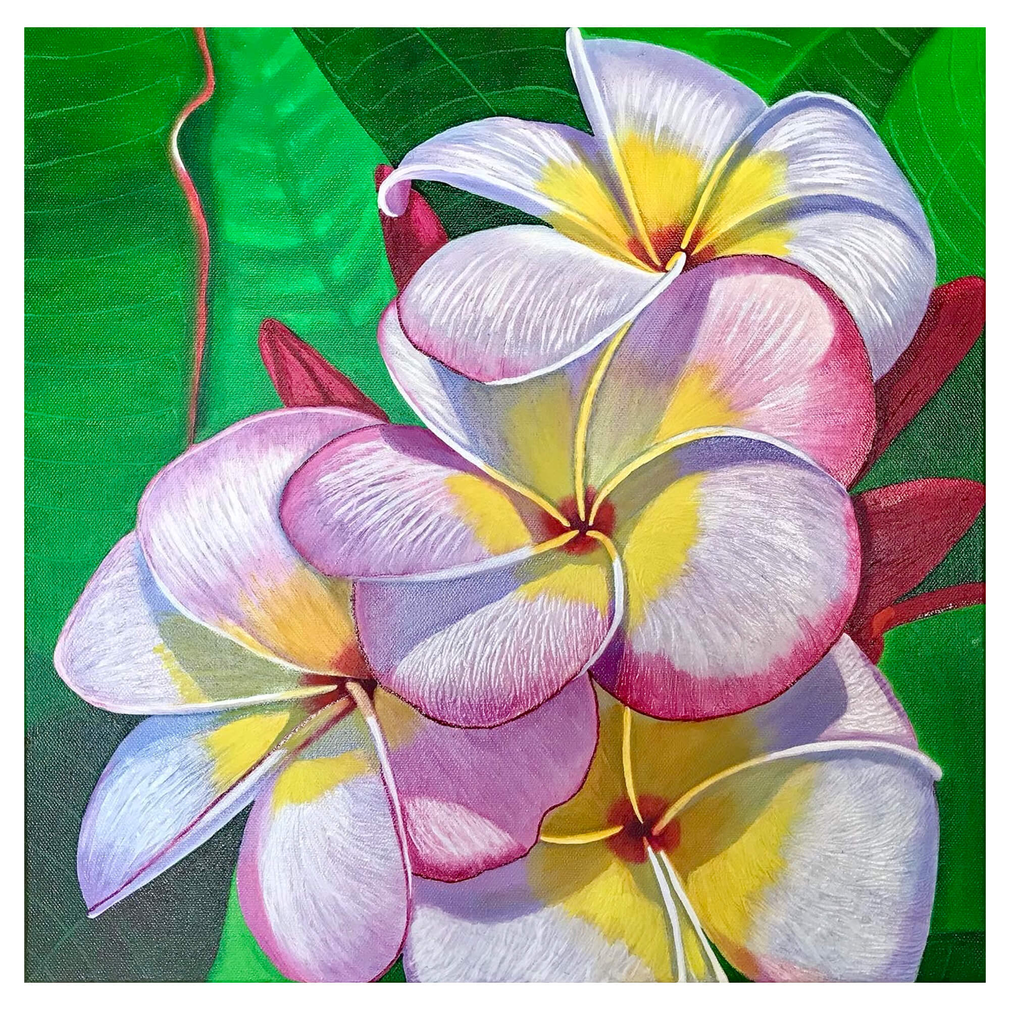 hawaii artist Galina Lintz Plumeria Quartet art print