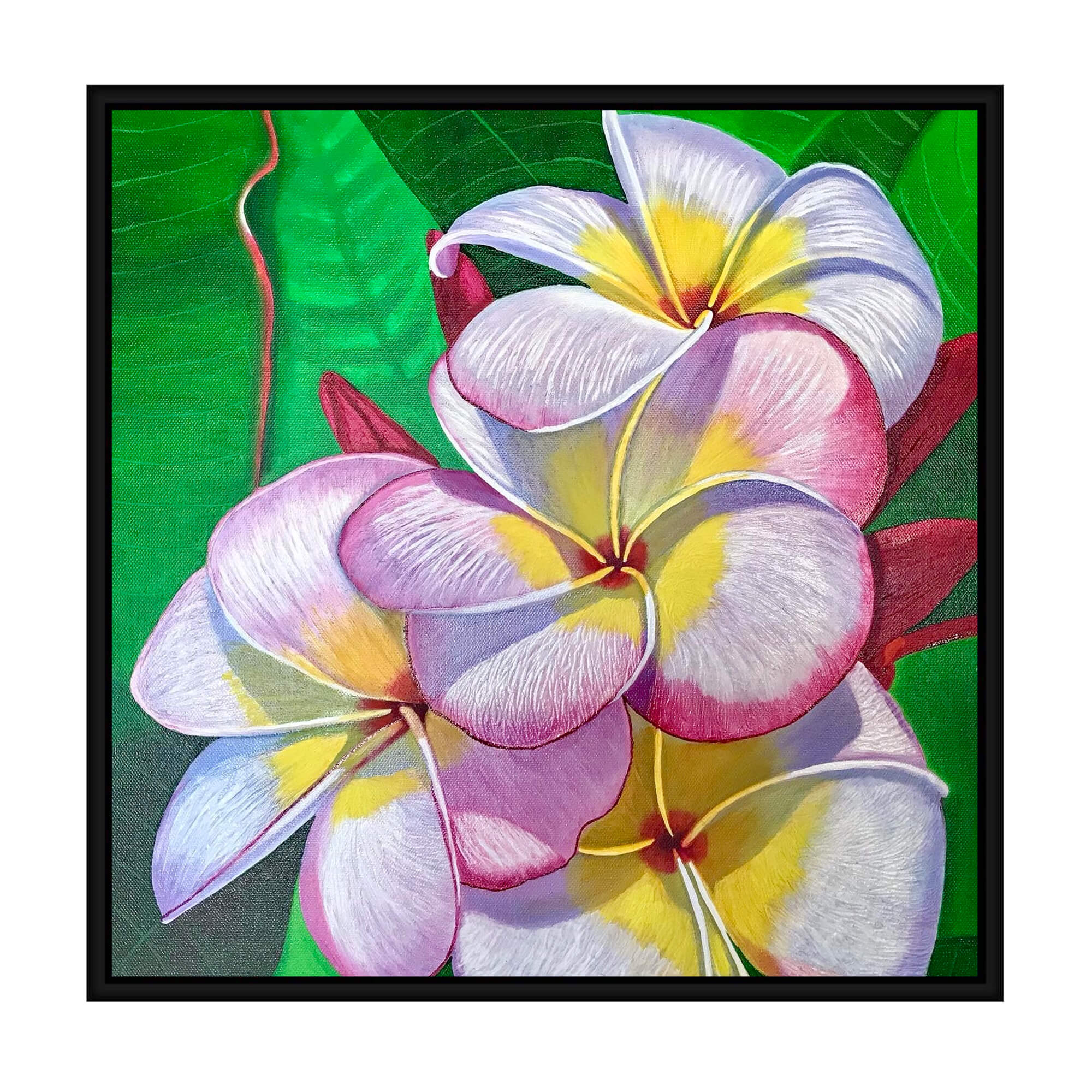 Canvas rt print with black frame showcasing a pink flower by hawaii artist 