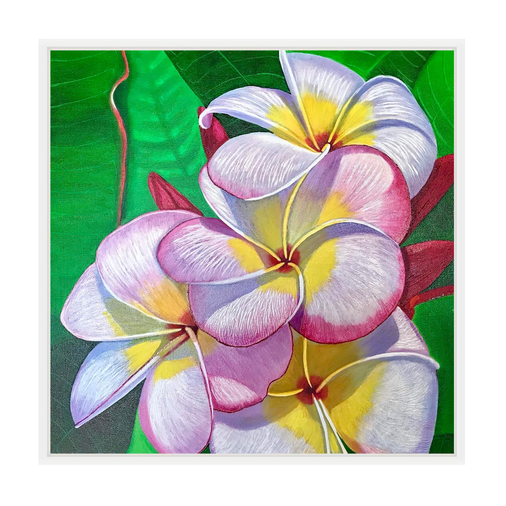 Canvas art print featuring a white petal by hawaii artist Galina Lintz