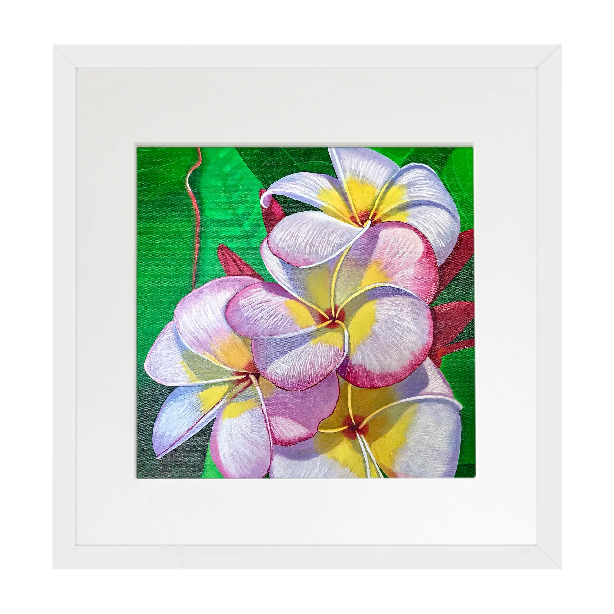 Matted art print with white frame featuring four white flowers by hawaii artist Galina Lintz