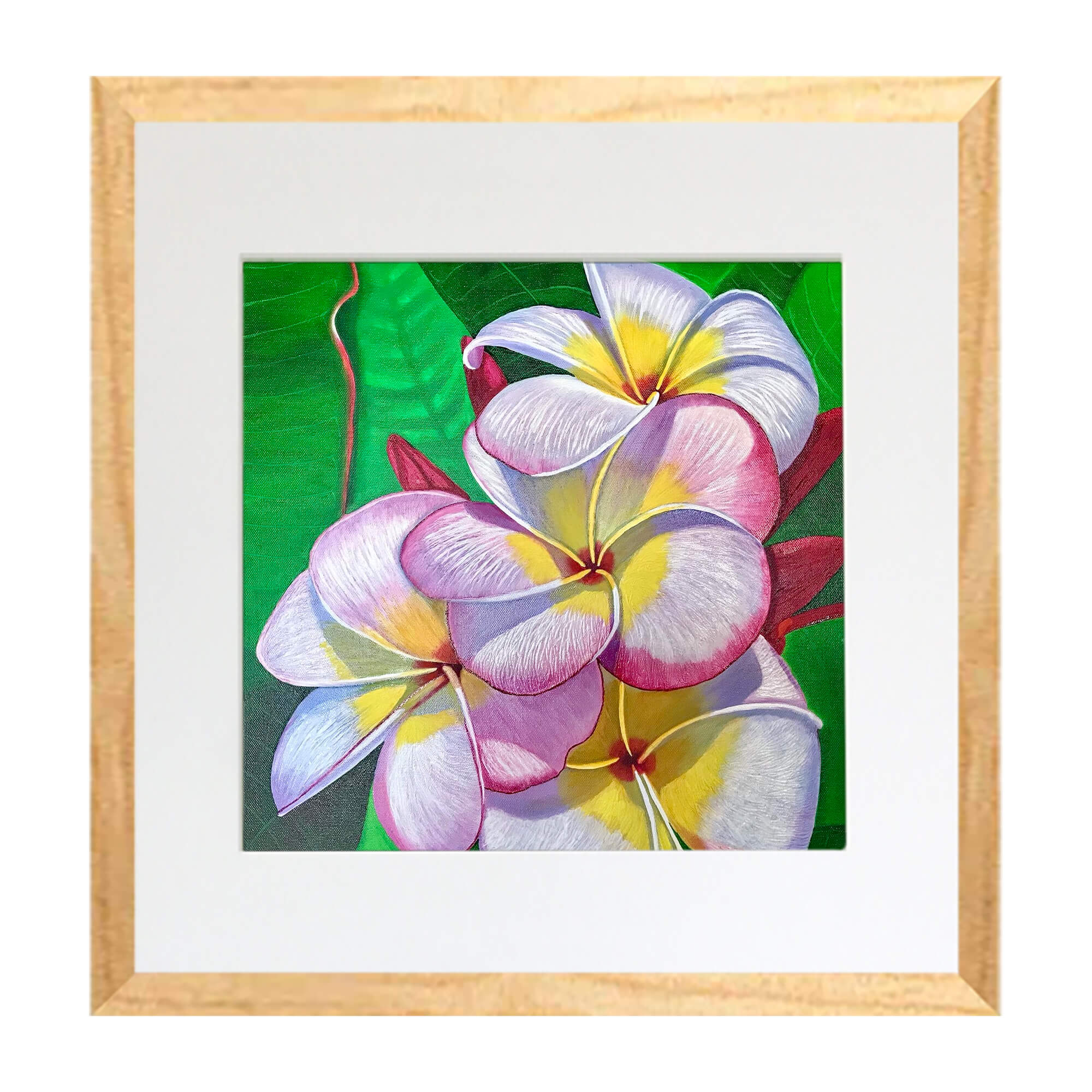 Matted art print with wood frame featuring a blooming flower  by hawaii artist Galina Lintz