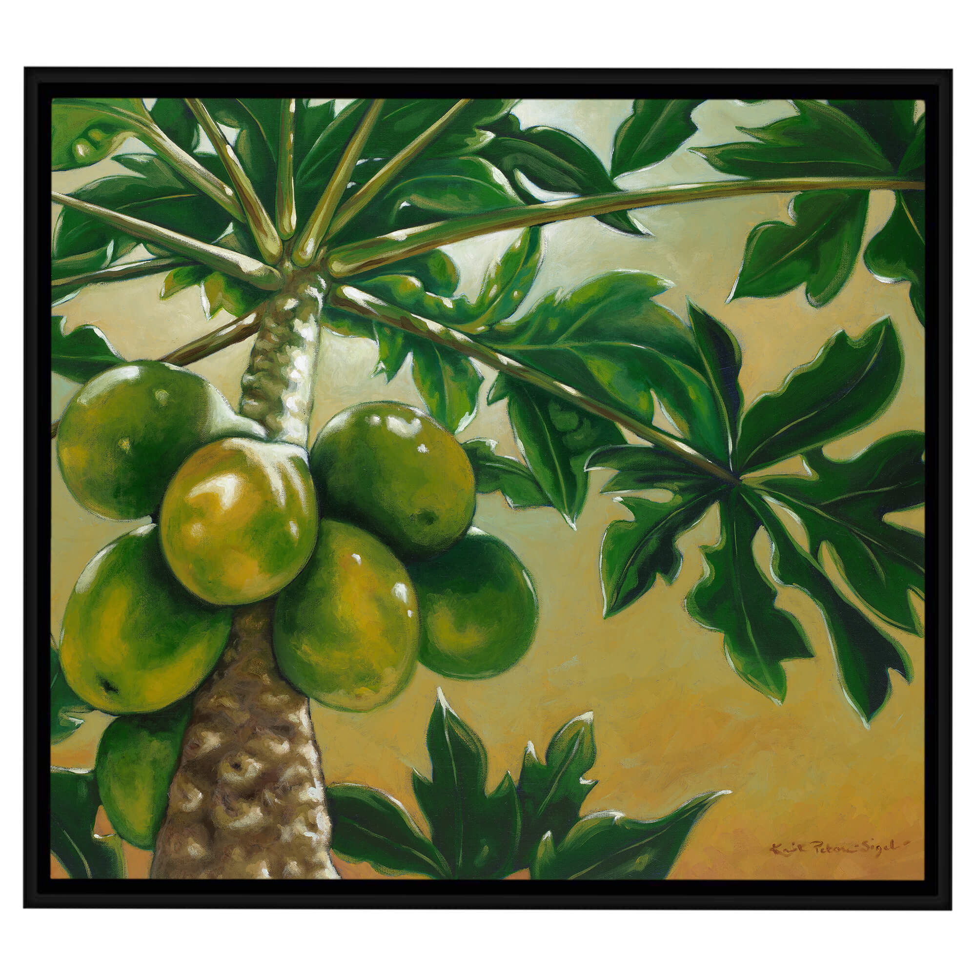 Canvas art print featuring a tall papaya tree by hawaii artist Kristi petosa