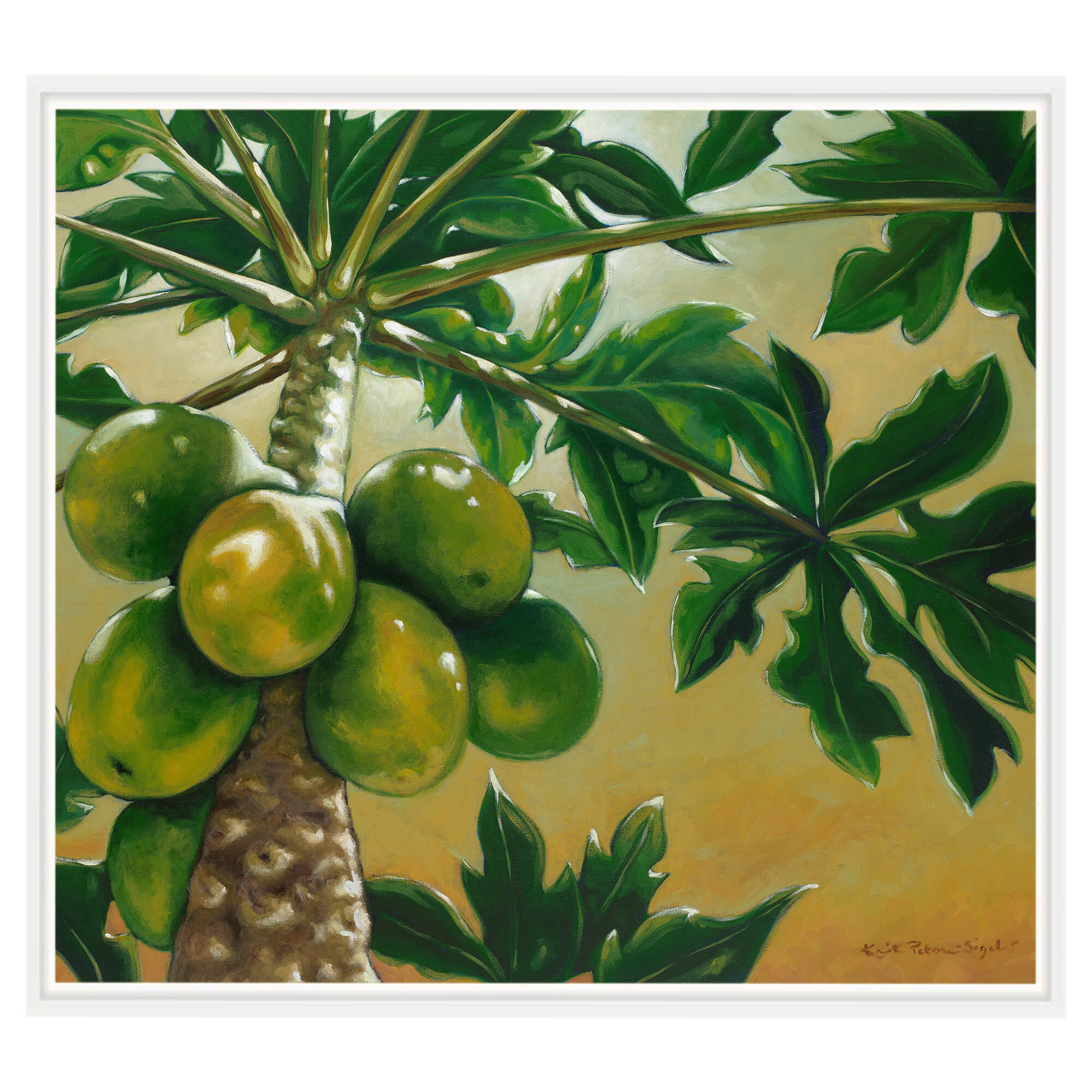 Canvas art print with white frame showcasing a  green leaf by hawaii artist Kristi petosa