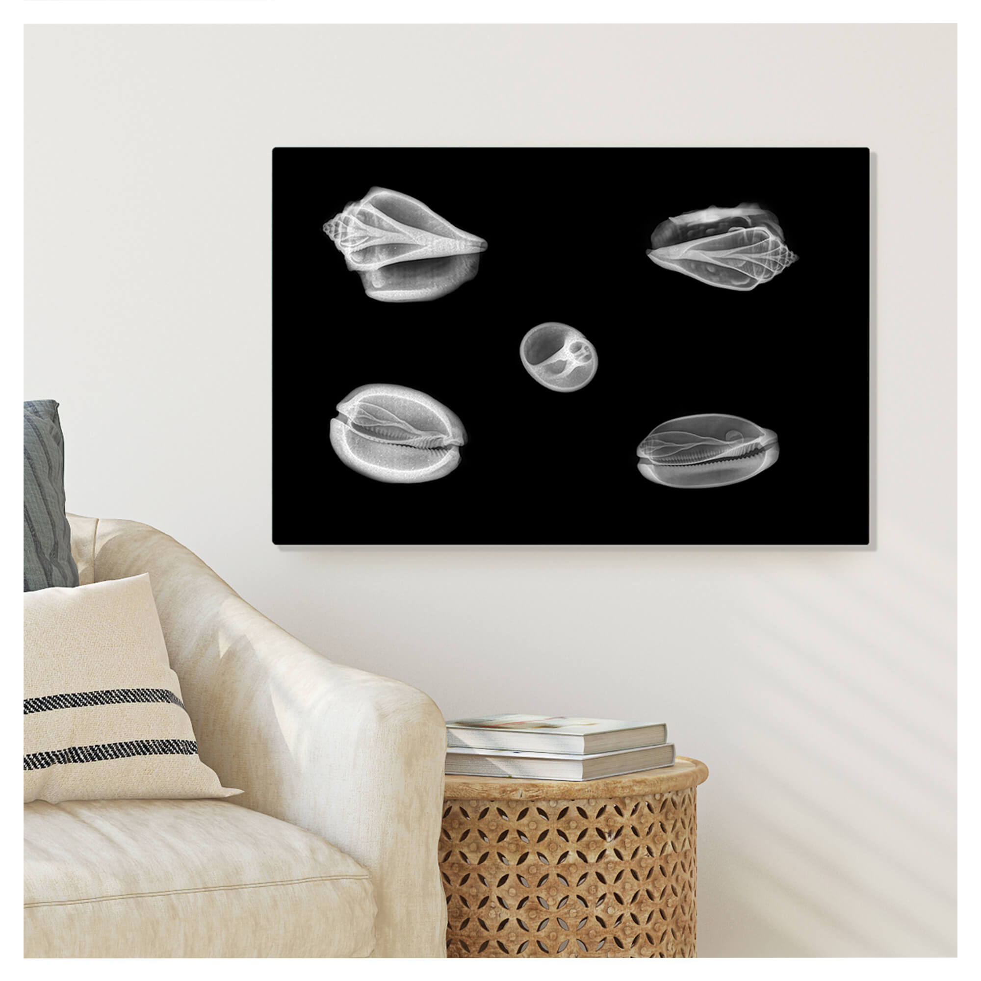 Metal art print wall mockup of 5 different shell's X-ray art print by Hawaii artist Michelle Smith