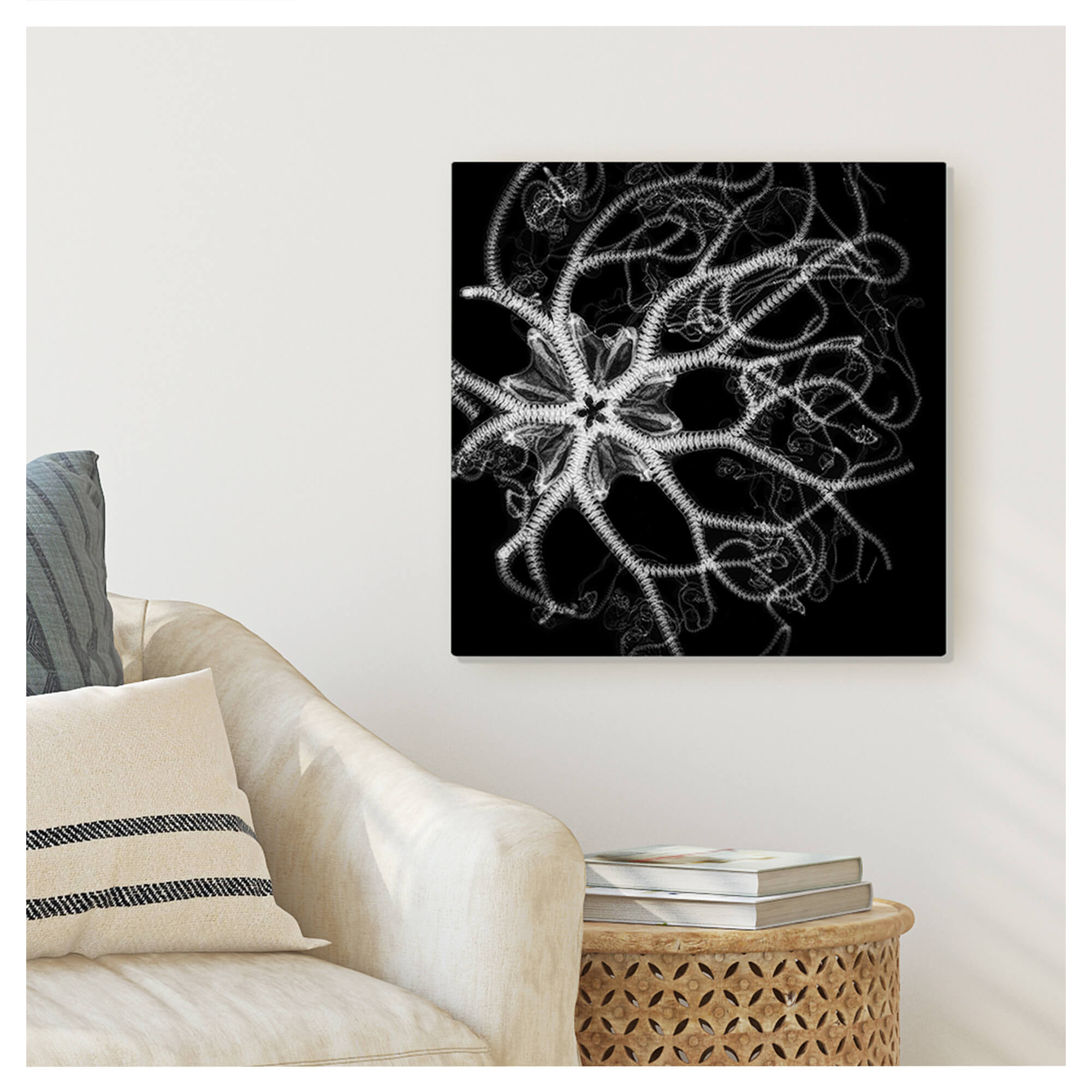 Wall mockup of a X-ray print with a mesmerizing basket star by Hawaii artist Michelle Smith