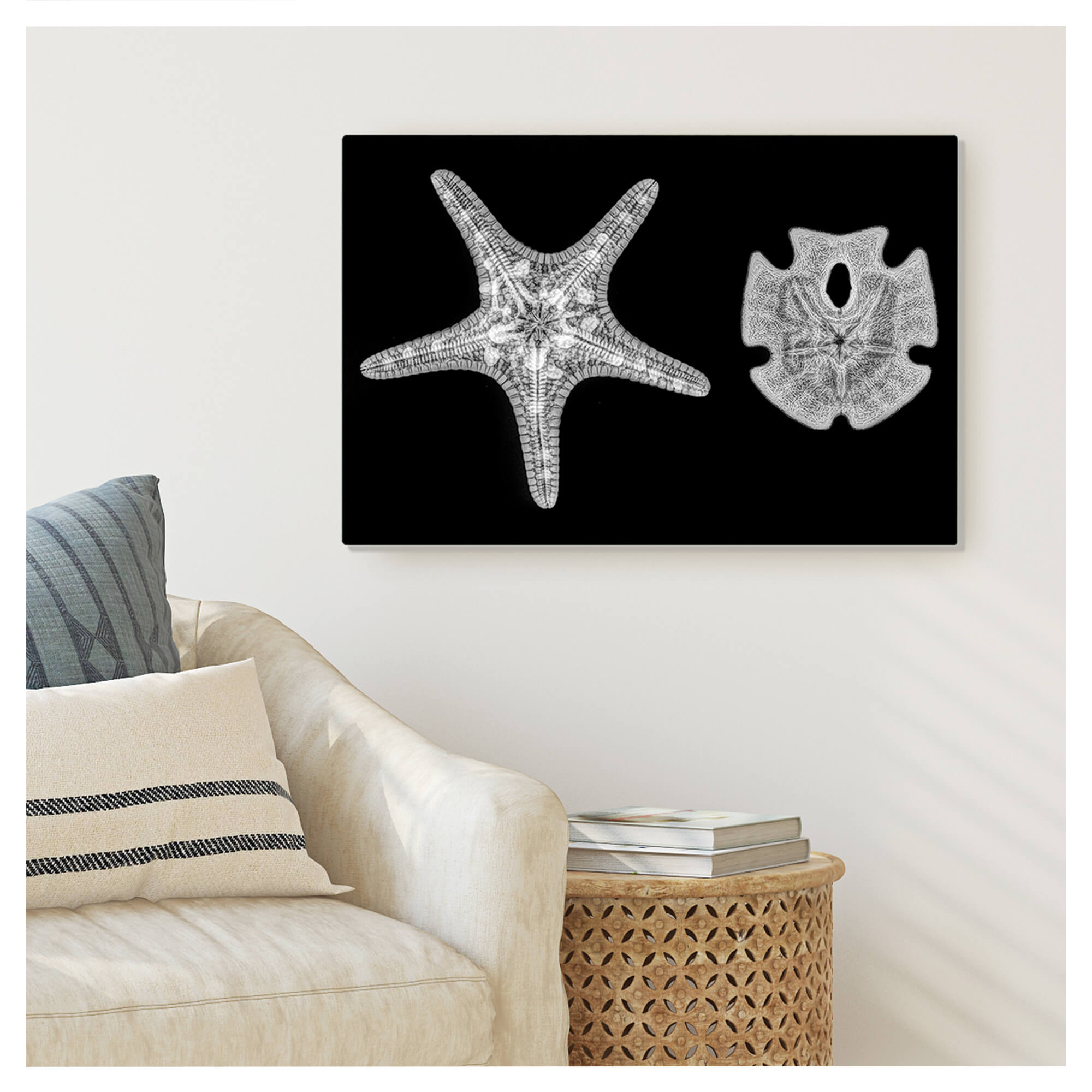 Metal print wall mockup of a starfish and a san dollar by Hawaii artist Michelle Smith