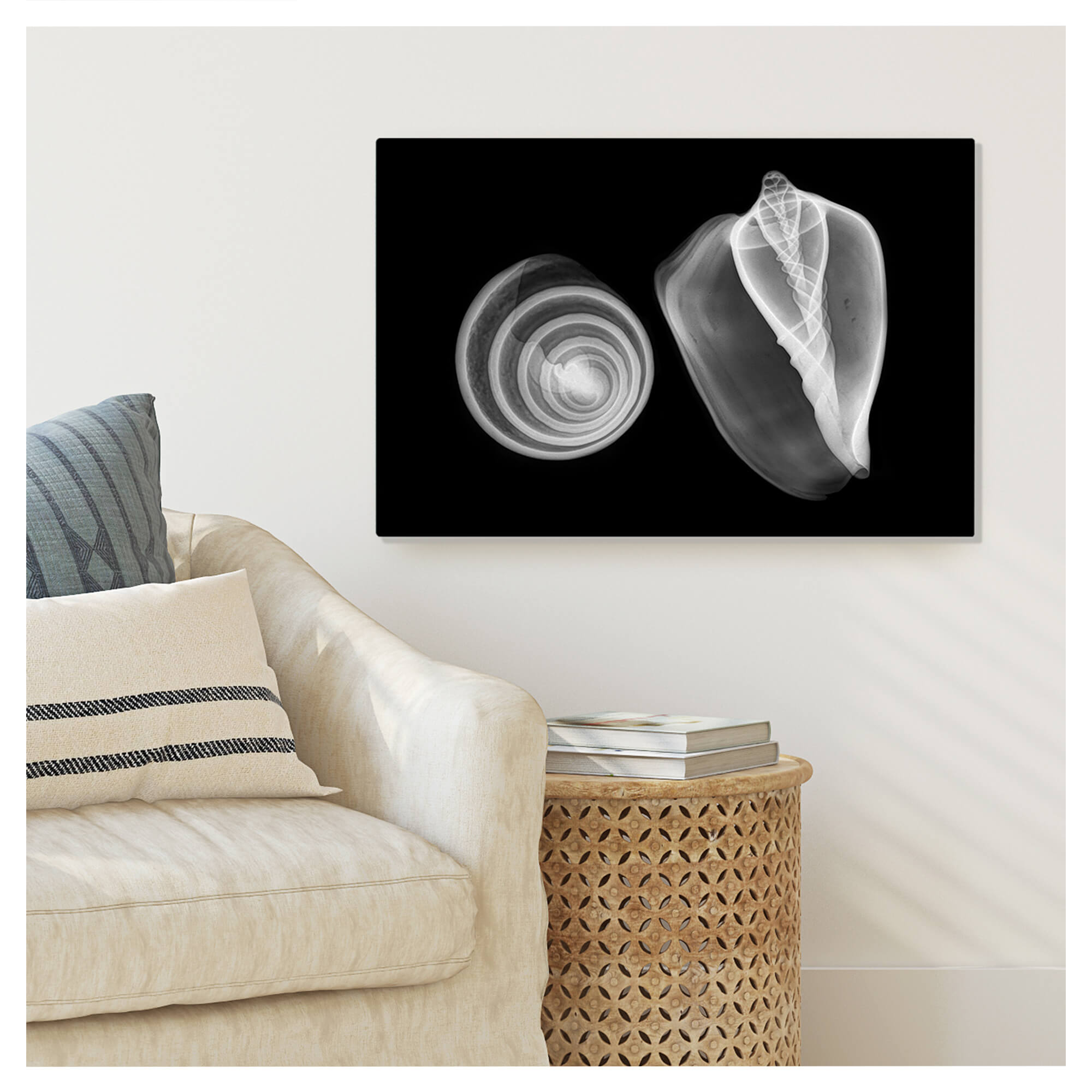 Metal art print wall mockup featuring an X-ray print of Trocha-Volute shells by Hawaii artist Michelle Smith