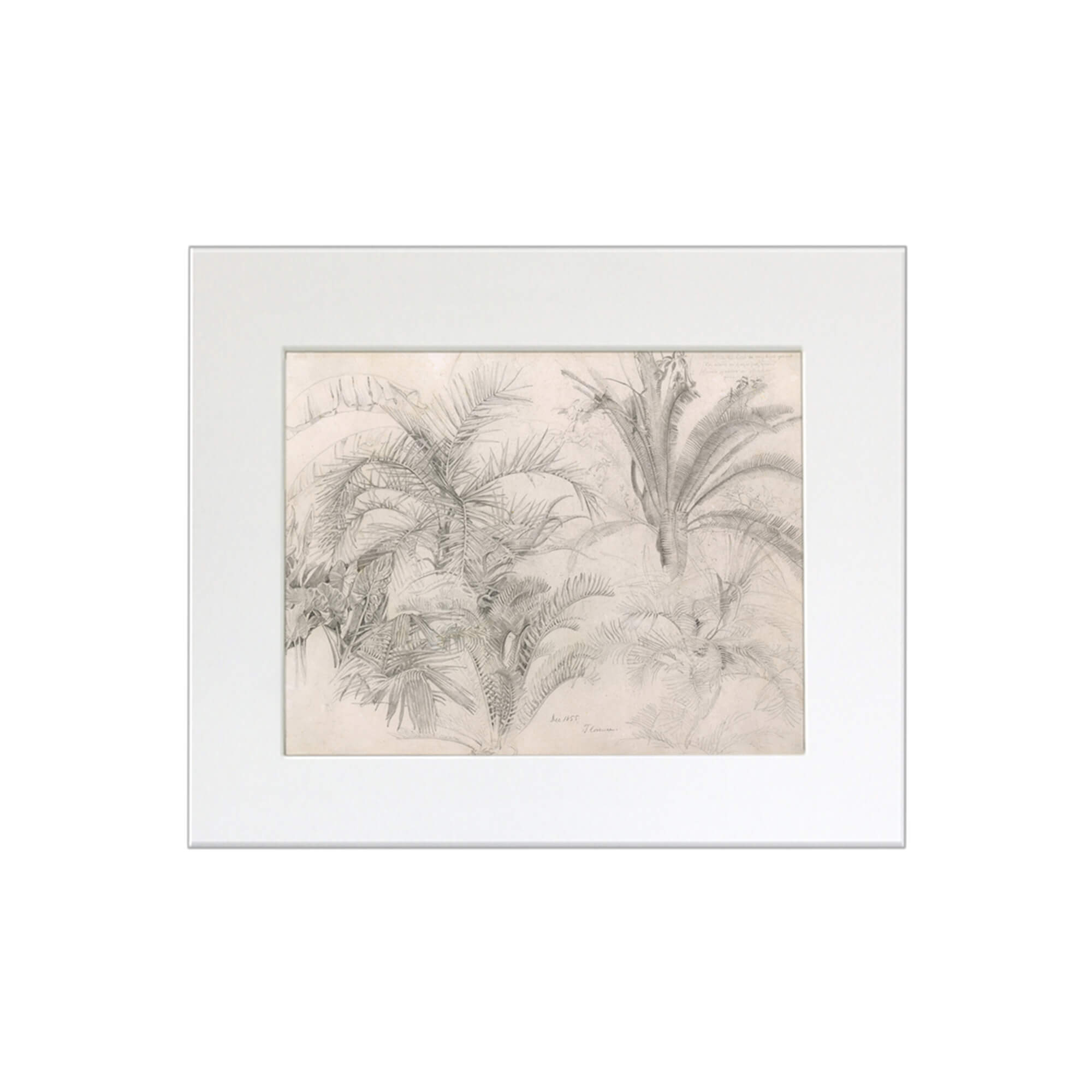 A sketch of palm trees in a mat