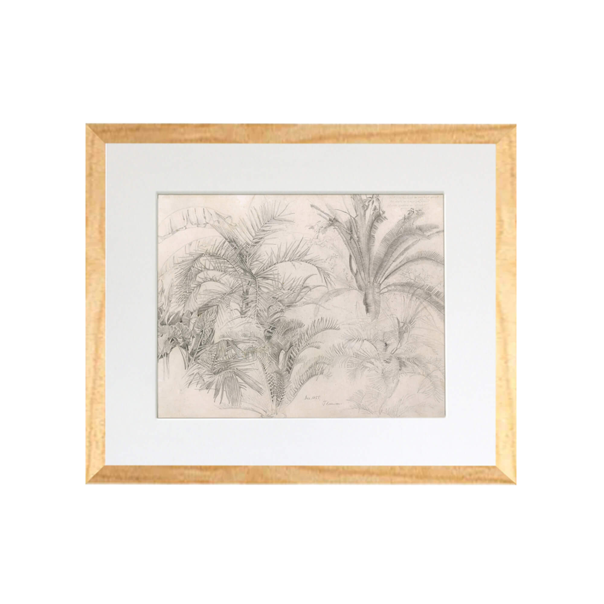 A sketch of palm leaves