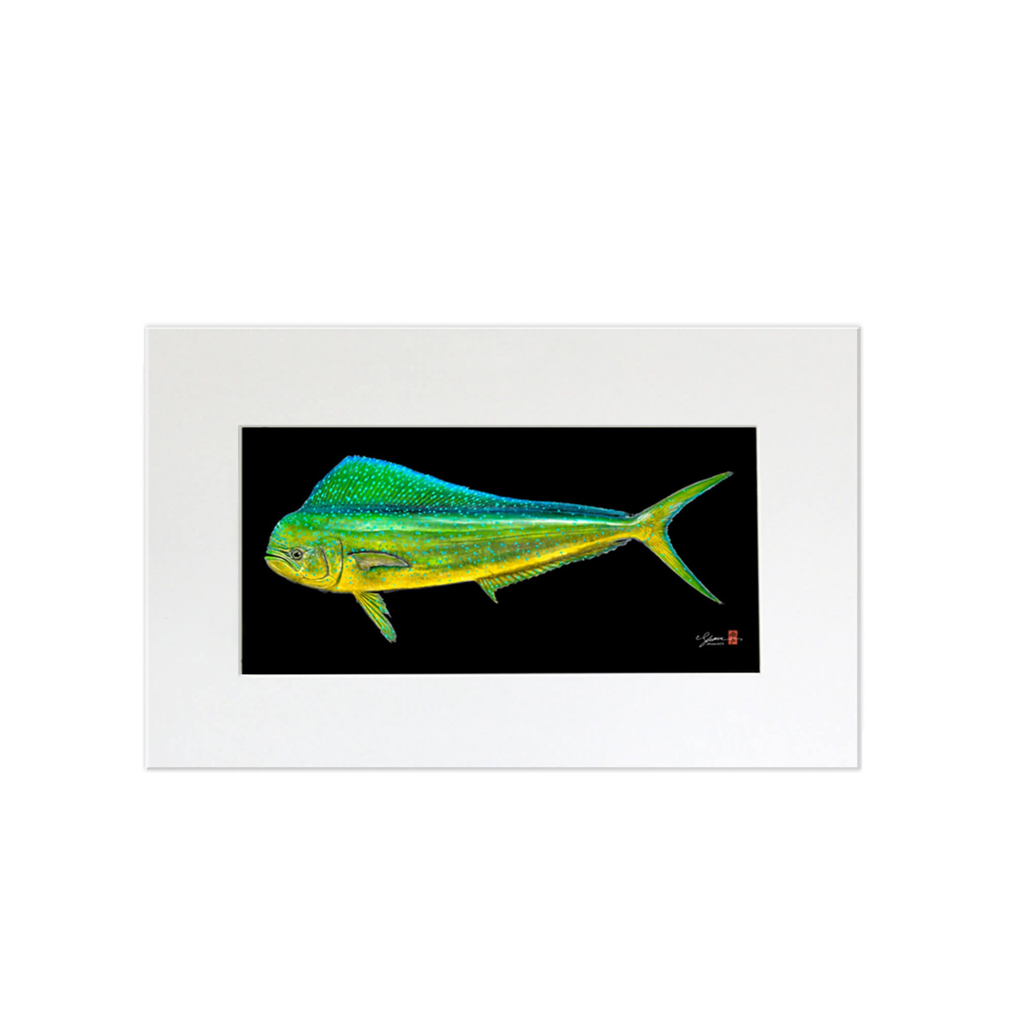 A matted print of a large Mahi Mahi fish (also known as Dolphin Fish or Dorado) distinguished by dazzling colors - golden on the sides, and bright blues and greens on the sides and back by Hawaii Gyotaku artist Shane Hamamoto