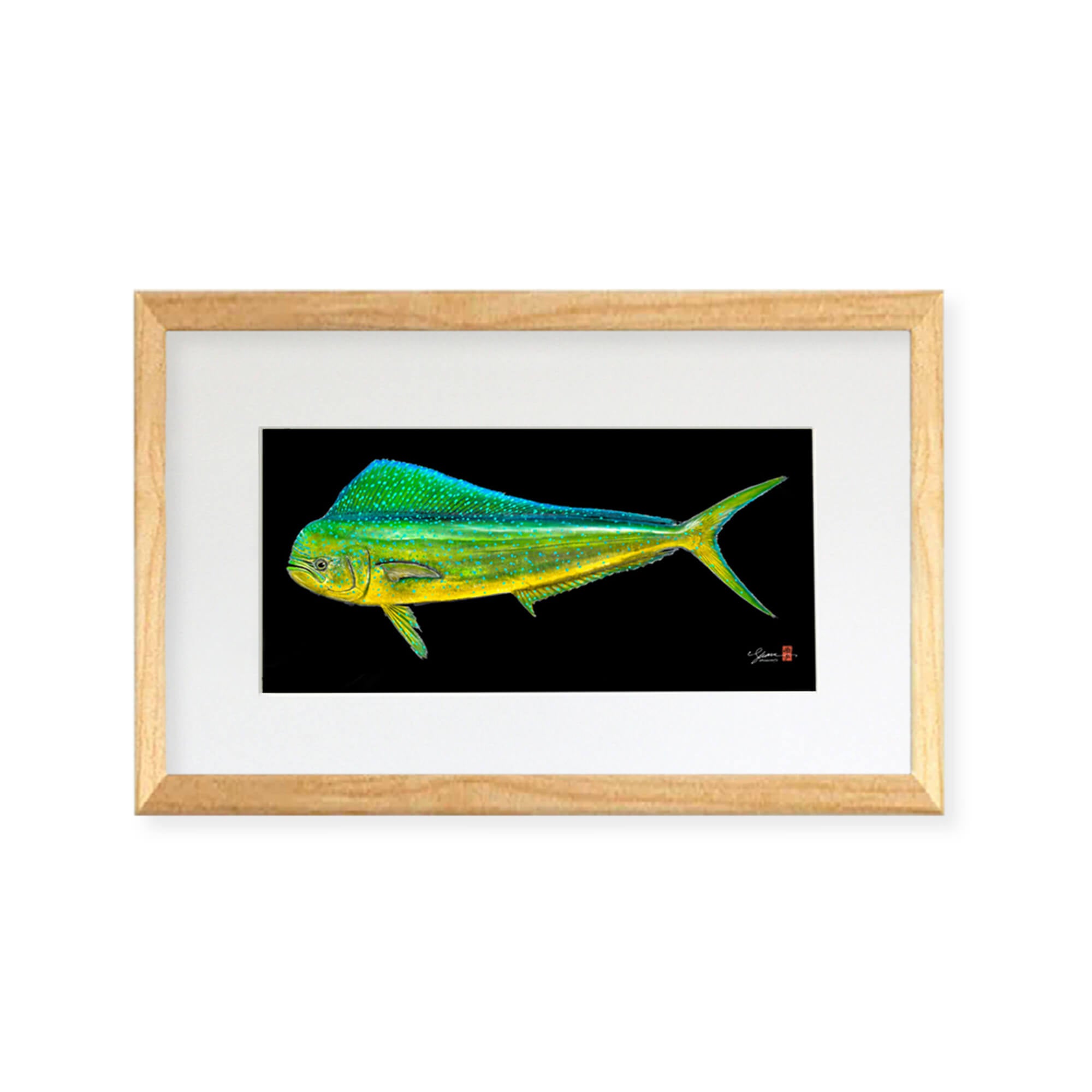 Framed matted print of a large Mahi Mahi fish (also known as Dolphin Fish or Dorado) distinguished by dazzling colors - golden on the sides, and bright blues and greens on the sides and back by Hawaii Gyotaku artist Shane Hamamoto