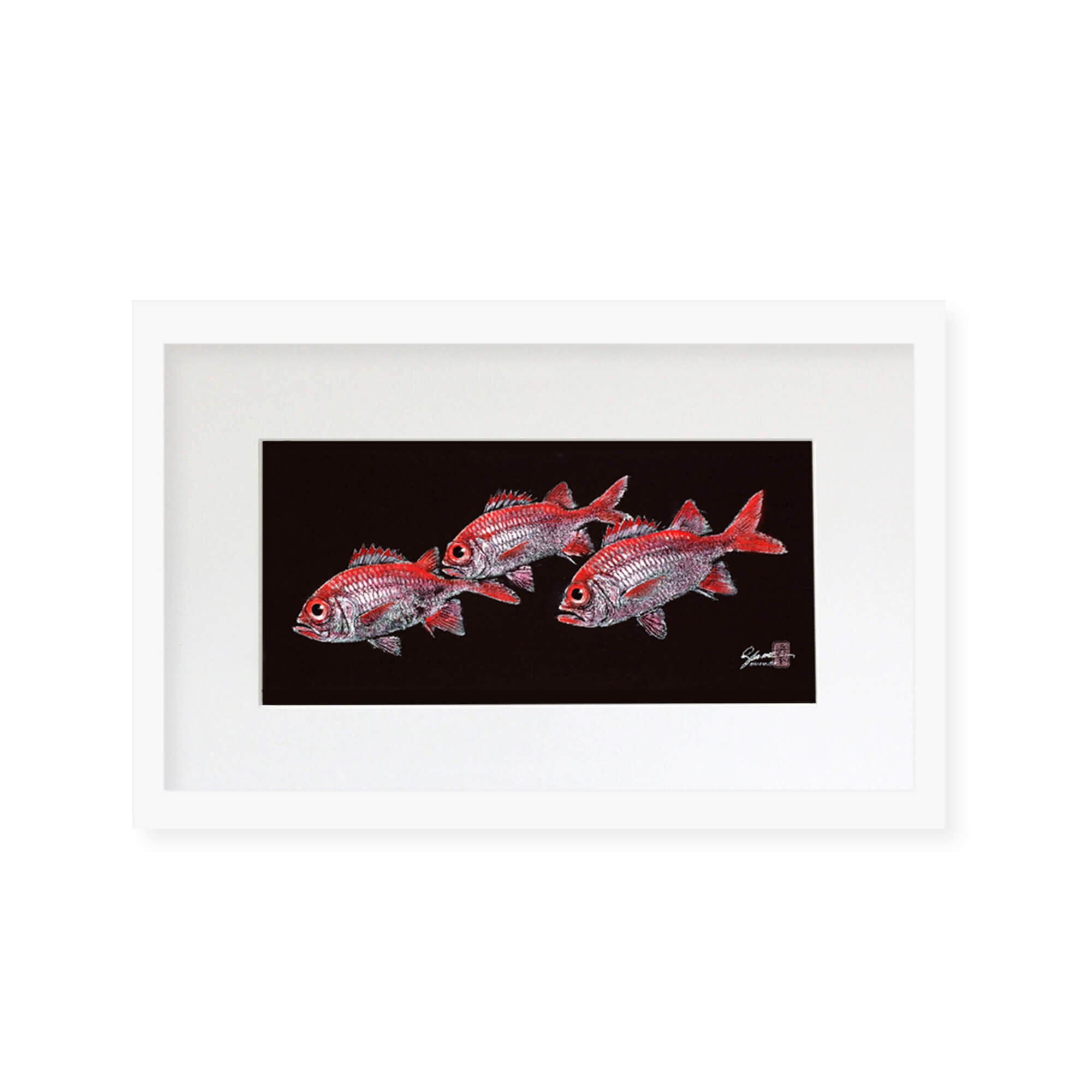 Framed matted print of Menpachi (also known as Flagtails and Soldierfish) by Hawaii gyotaku artist Shane Hamamoto