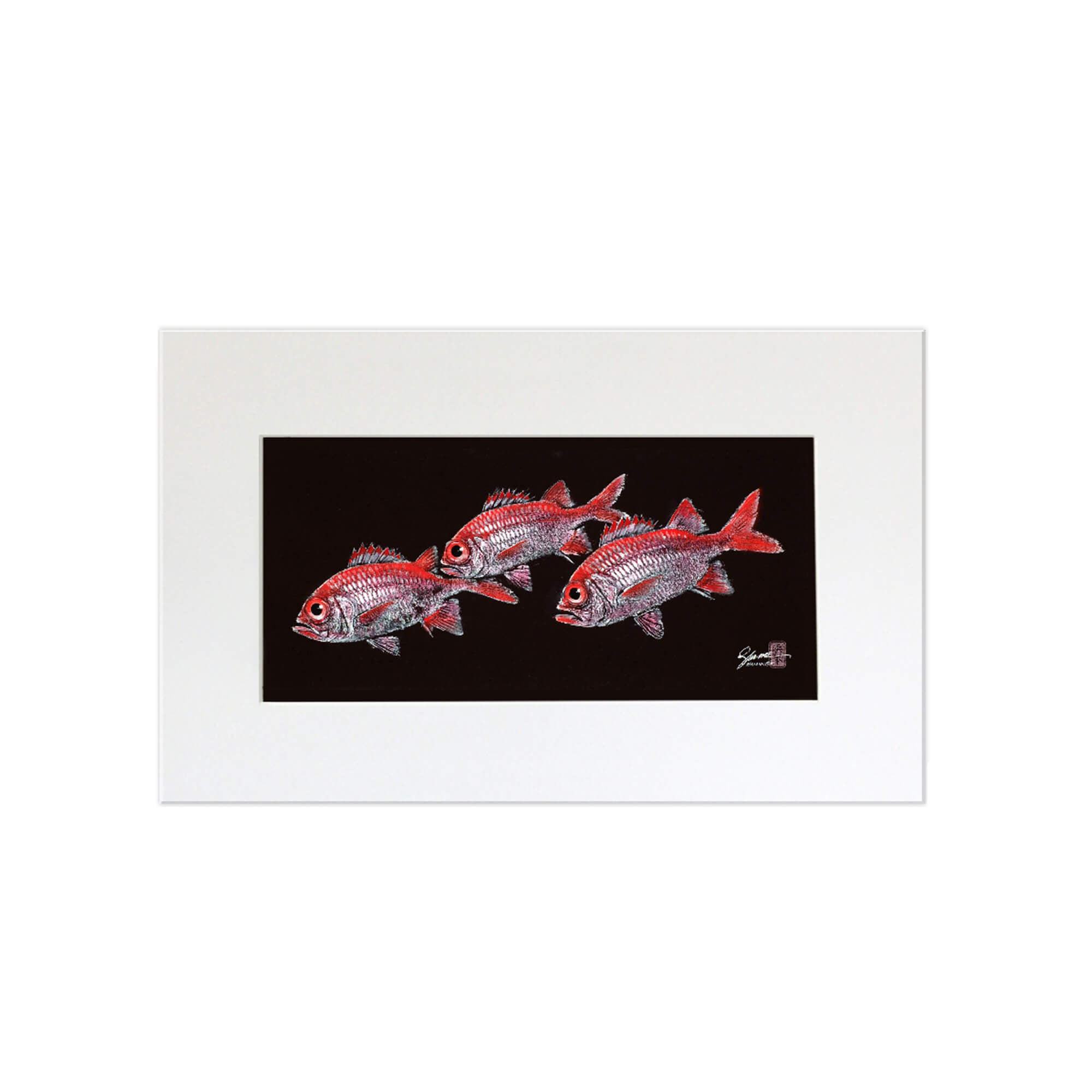 A matted print of Menpachi (also known as Flagtails and Soldierfish) by Hawaii gyotaku artist Shane Hamamoto