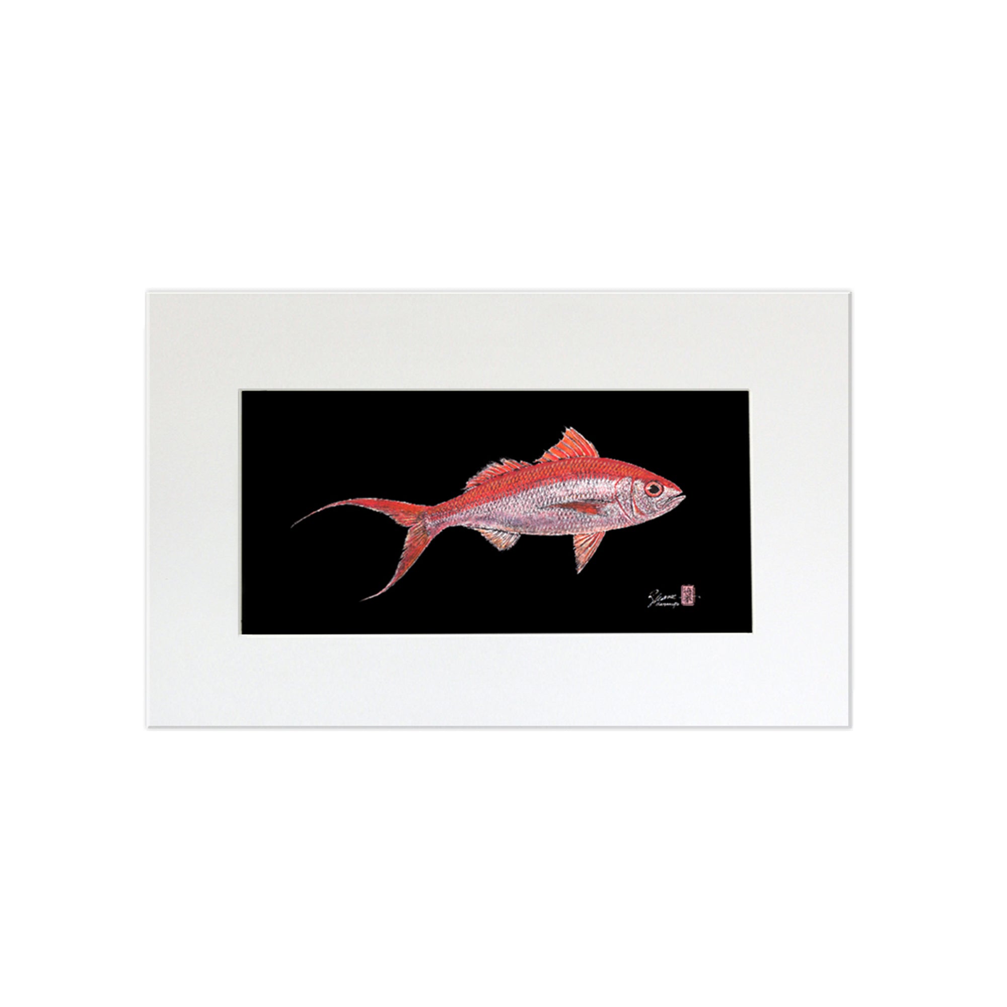 A matted print of Onaga (also known as Ruby Snapper or Scarlet Snapper) by Hawaii gyotaku artist Shane Hamamoto