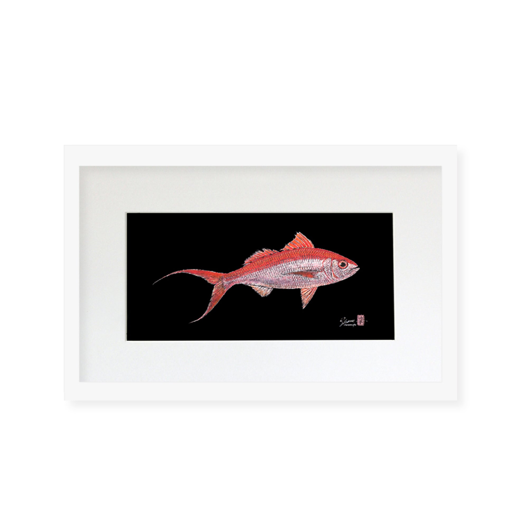 Framed matted print of Onaga (also known as Ruby Snapper or Scarlet Snapper) by Hawaii gyotaku artist Shane Hamamoto