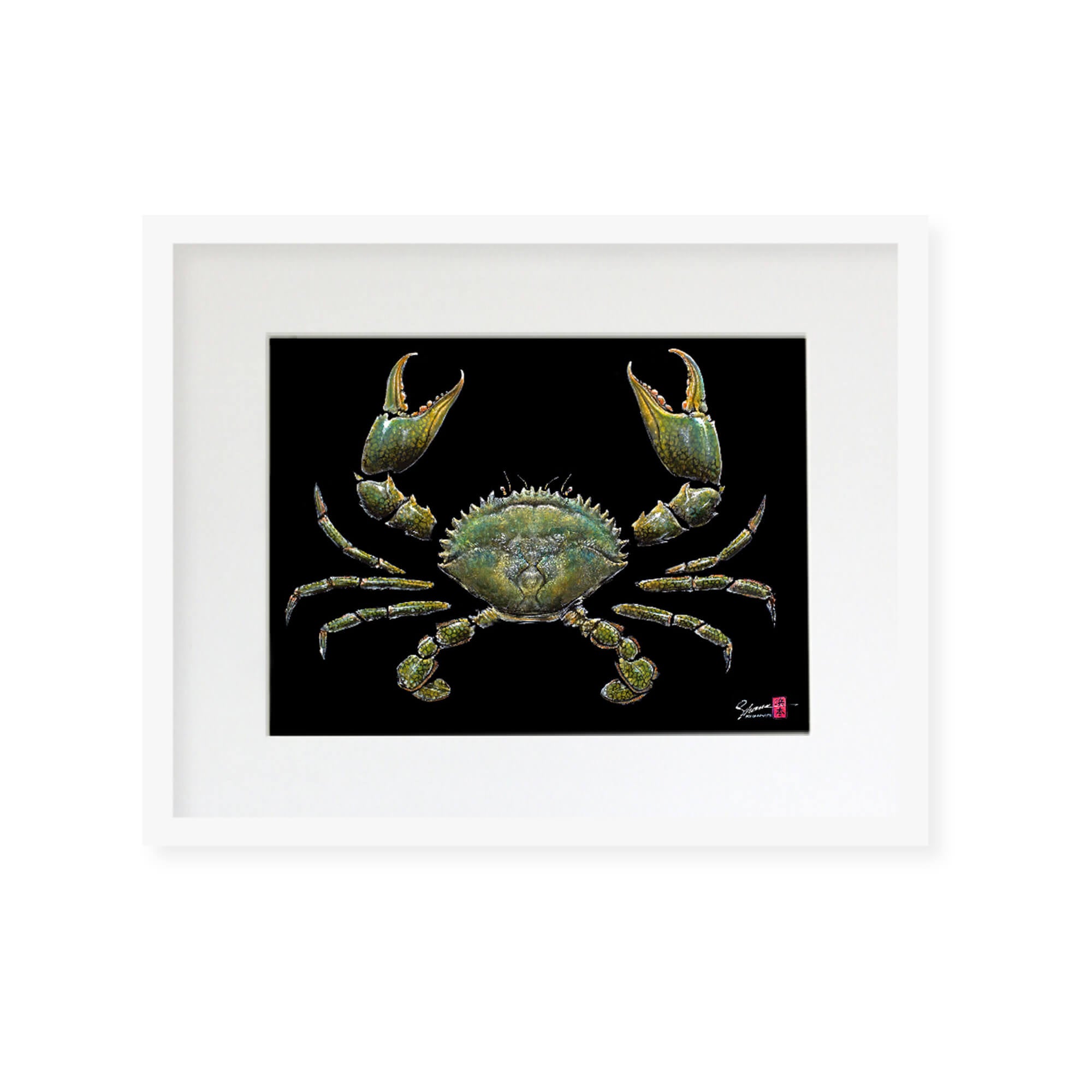 Framed matted print of Samoan Crab in black frame by Hawaii gyotaku artist Shane Hamamoto