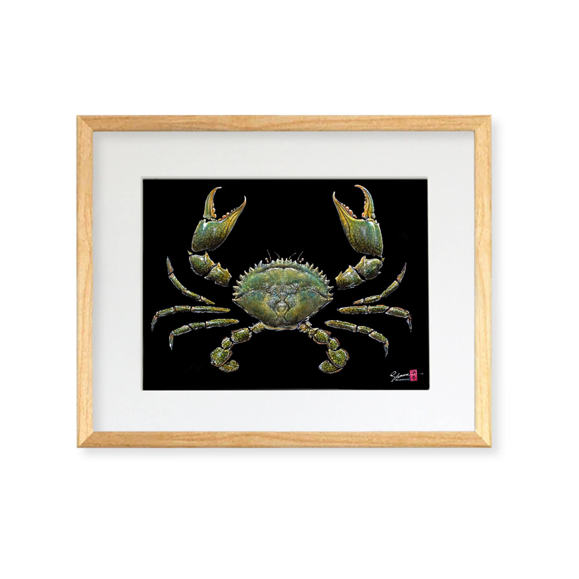 Framed matted print of Samoan Crab in black frame by Hawaii gyotaku artist Shane Hamamoto