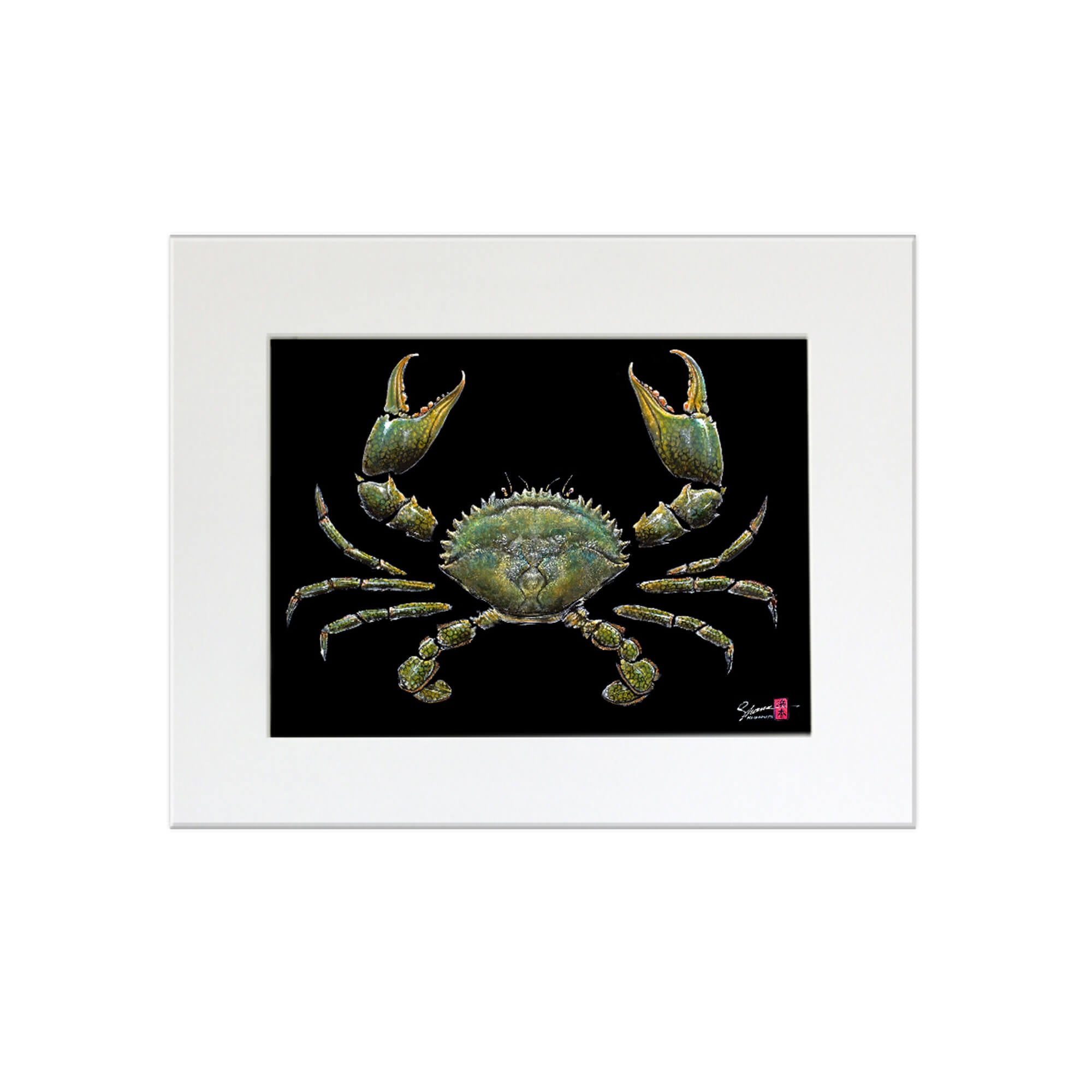 Matted print of Samoan Crab in black frame by Hawaii gyotaku artist Shane Hamamoto