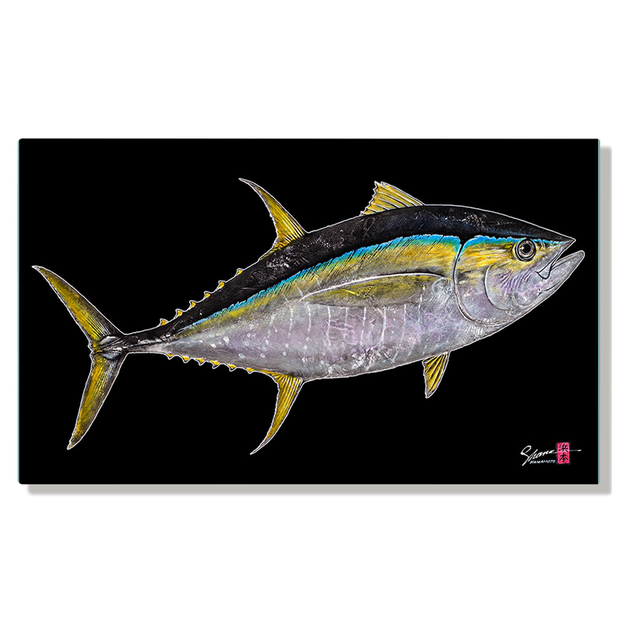 Metal print of Shibi (Yellowfin Tuna) by Hawaii gyotaku artist Shane Hamamoto