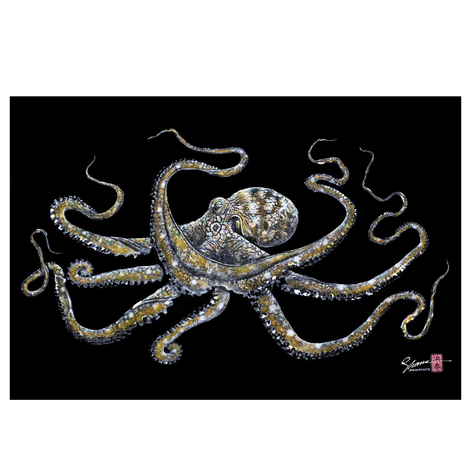 Matted print of Tako (octopus) by Hawaii gyotaku artist Shane Hamamoto